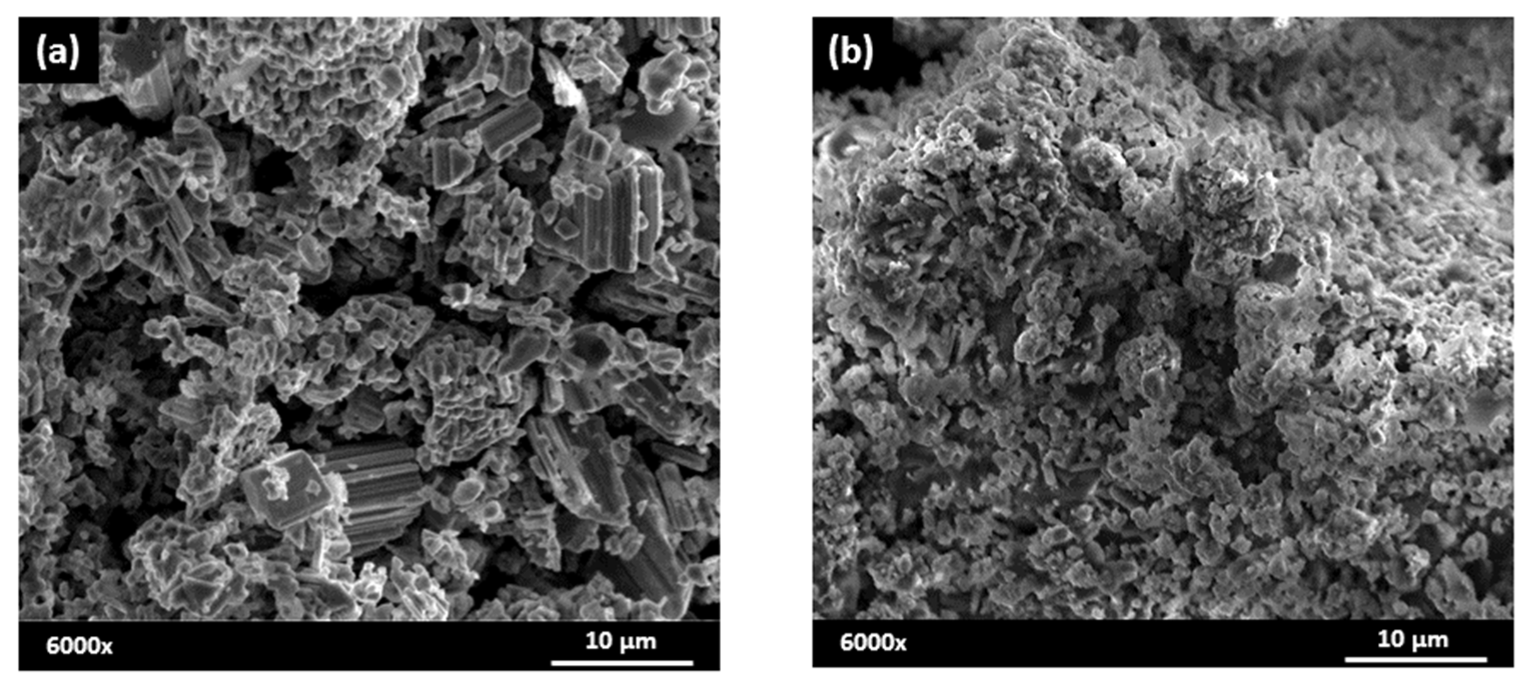 Materials 14 04337 g003