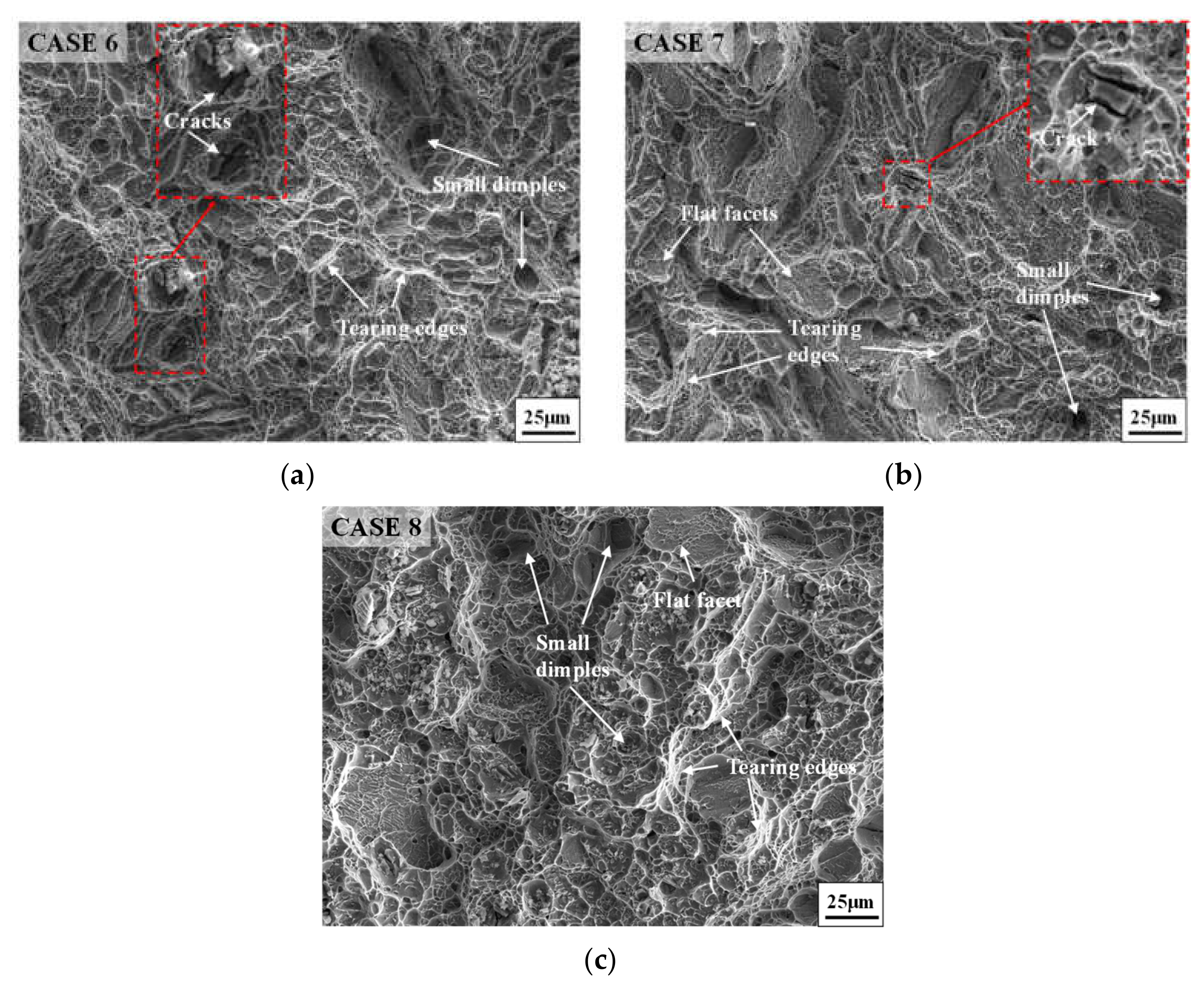 Materials 14 04339 g006