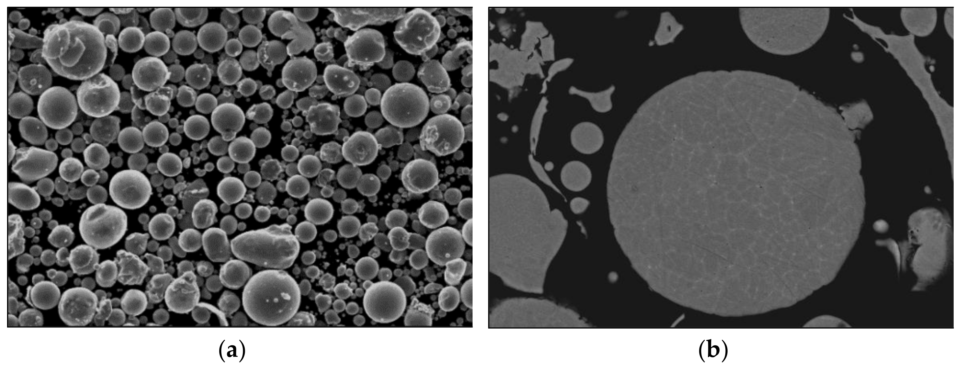 Materials 14 04342 g002 550