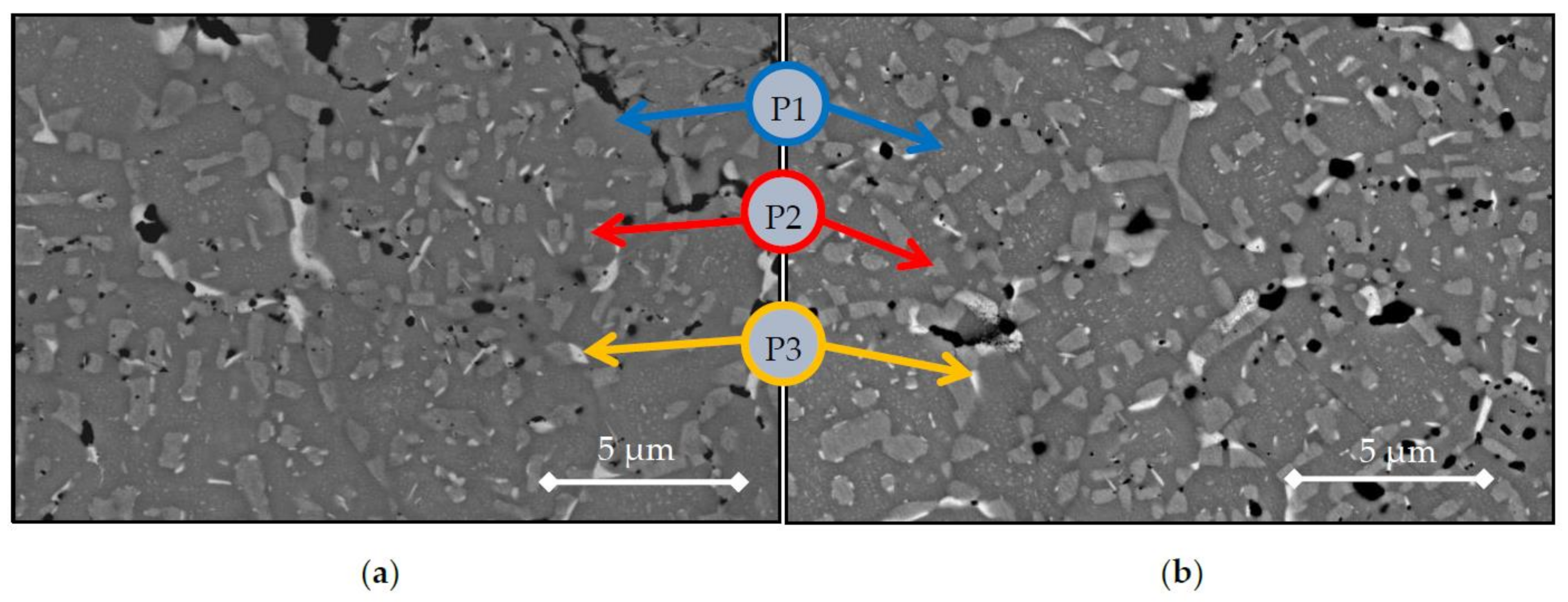 Materials 14 04342 g008 550