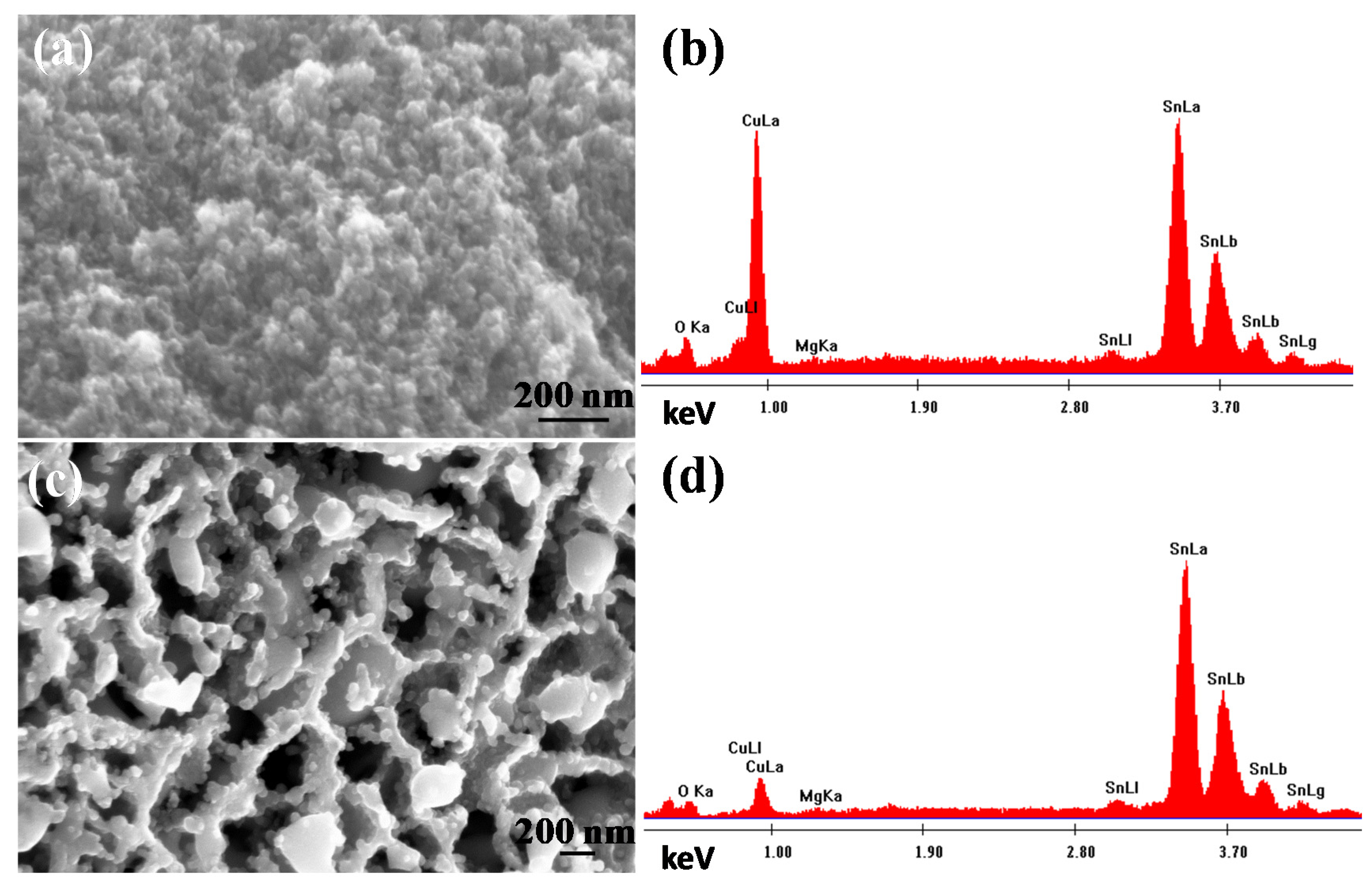 Materials 14 04348 g002