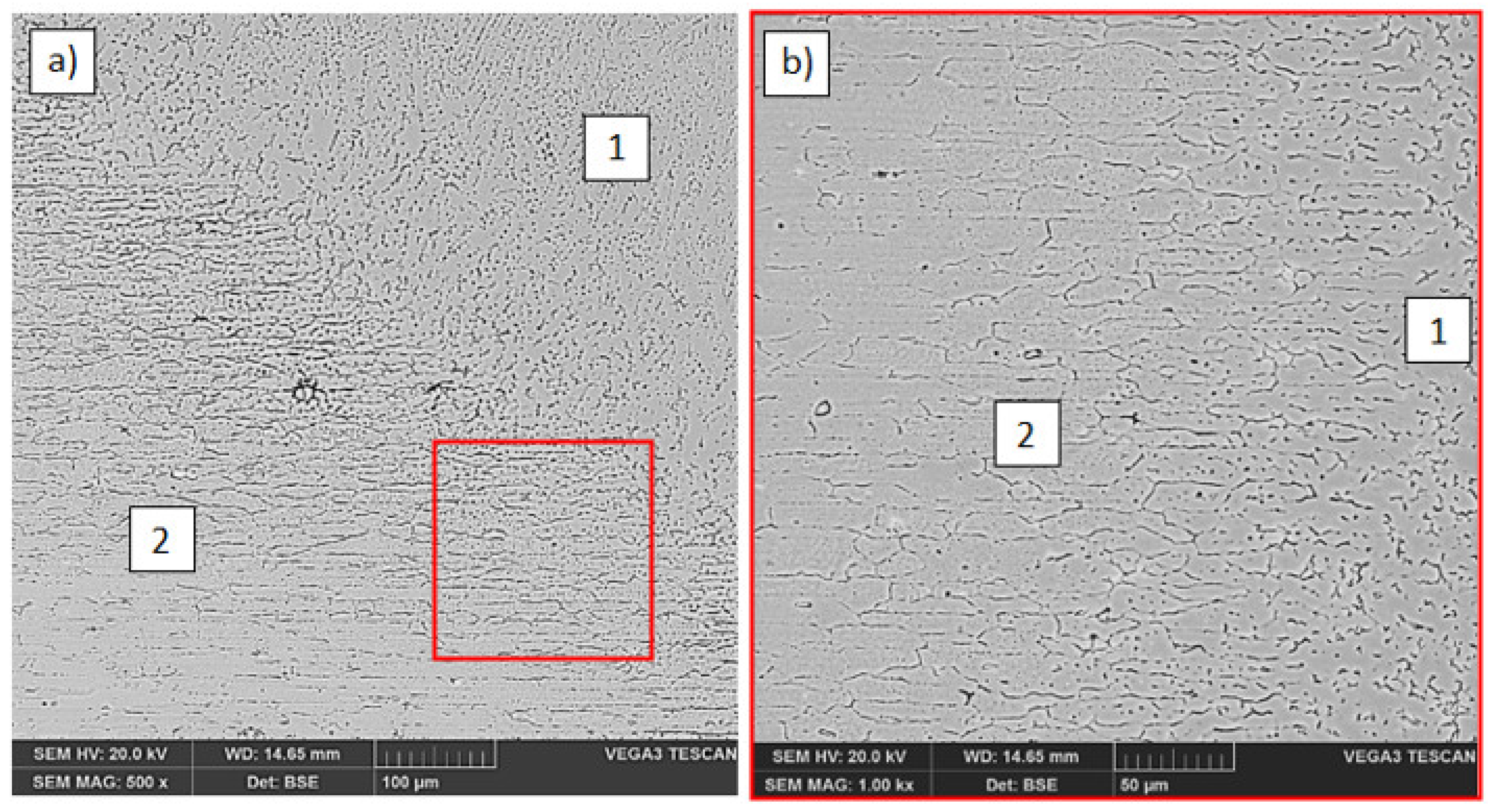 Materials 14 04349 g003 550