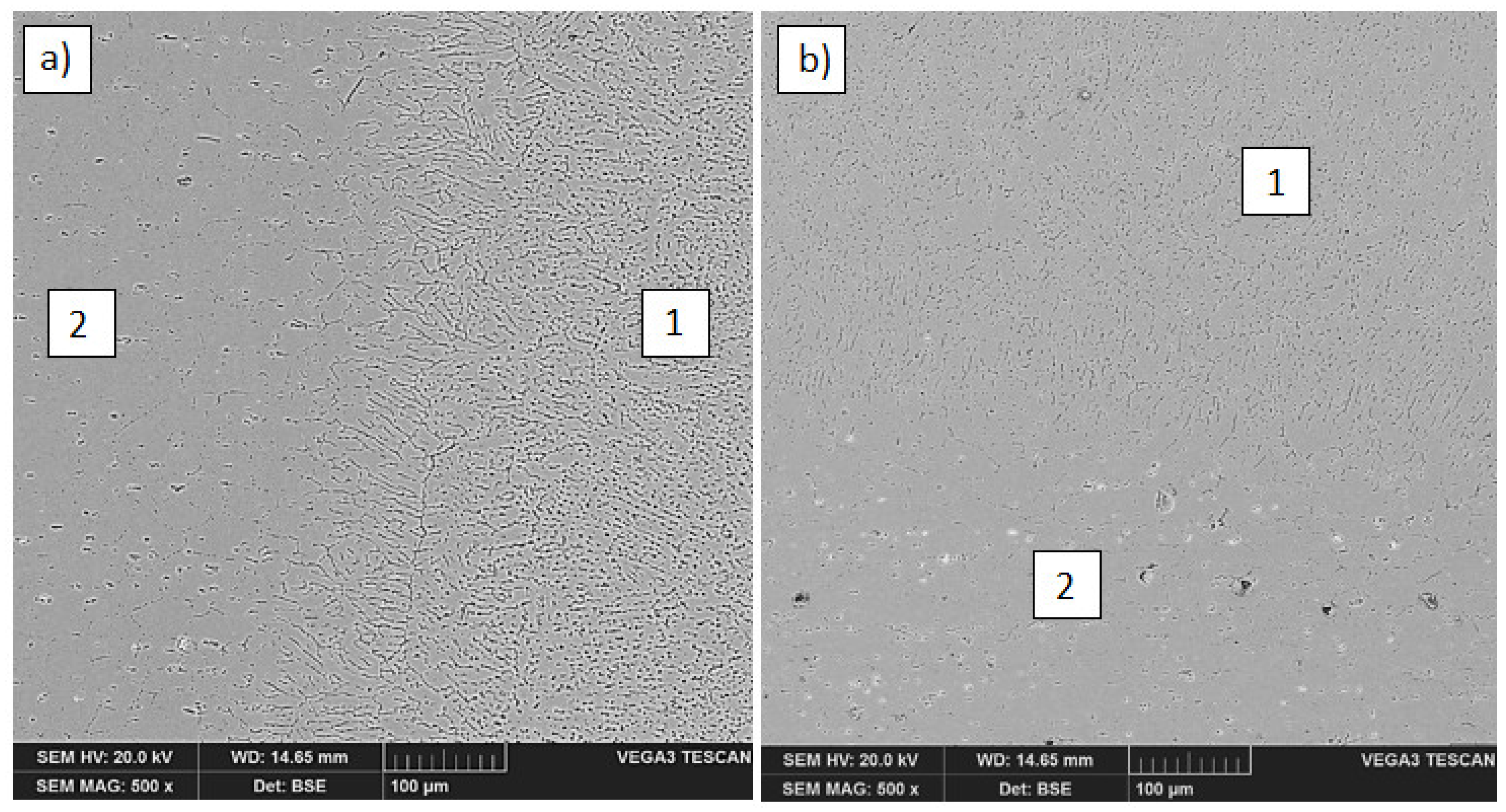 Materials 14 04349 g005 550