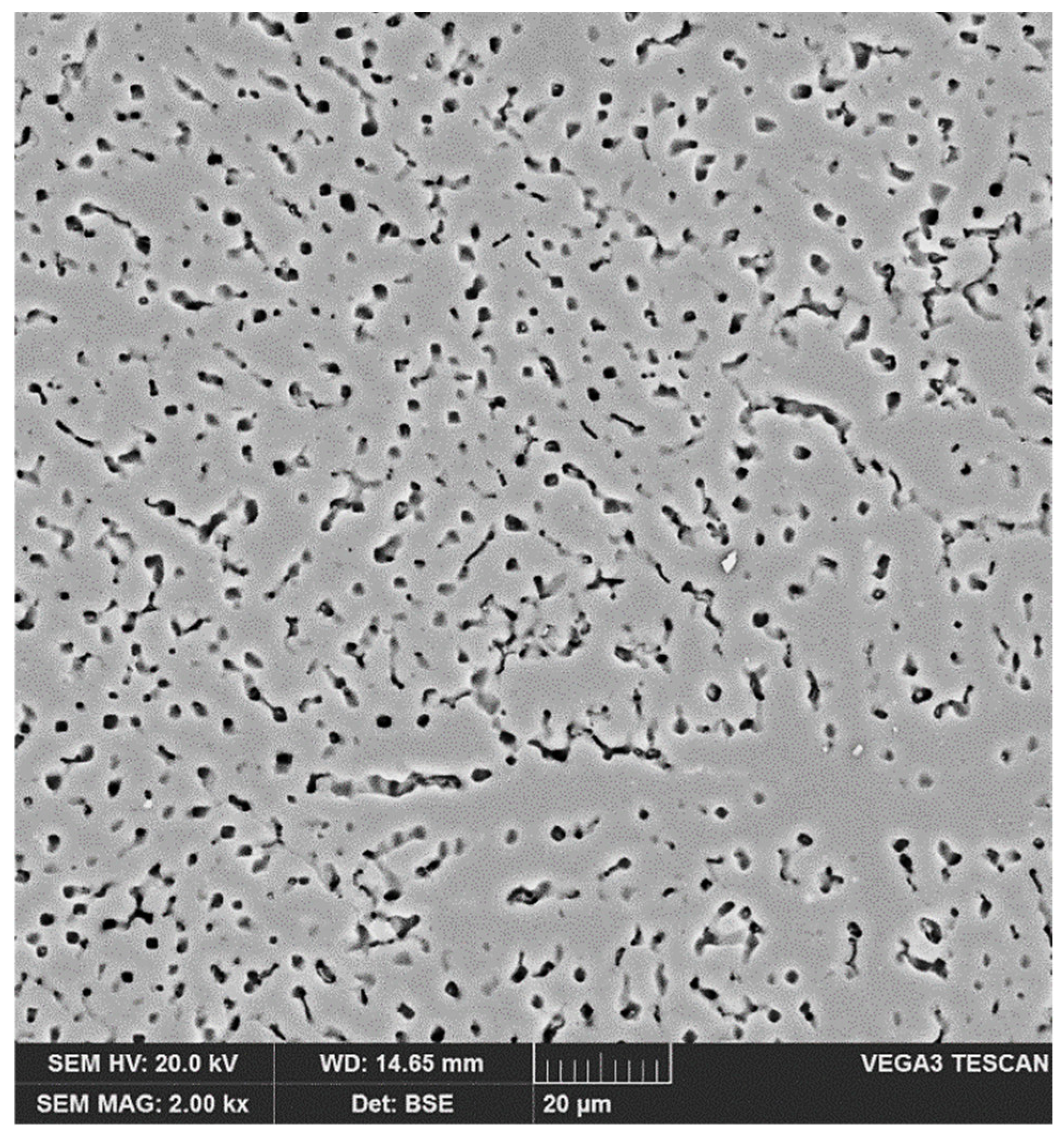 Materials 14 04349 g006 550