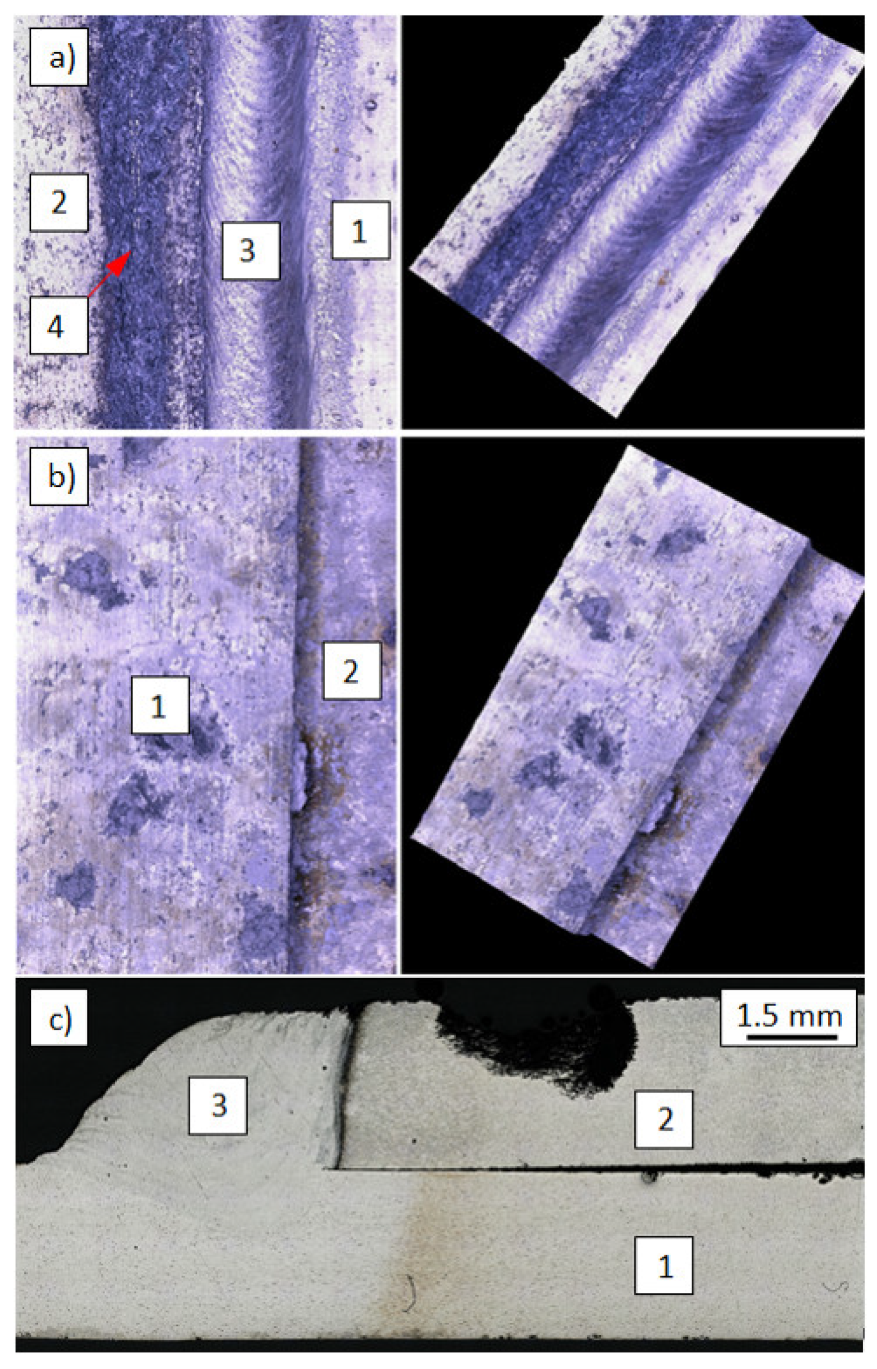 Materials 14 04349 g010 550