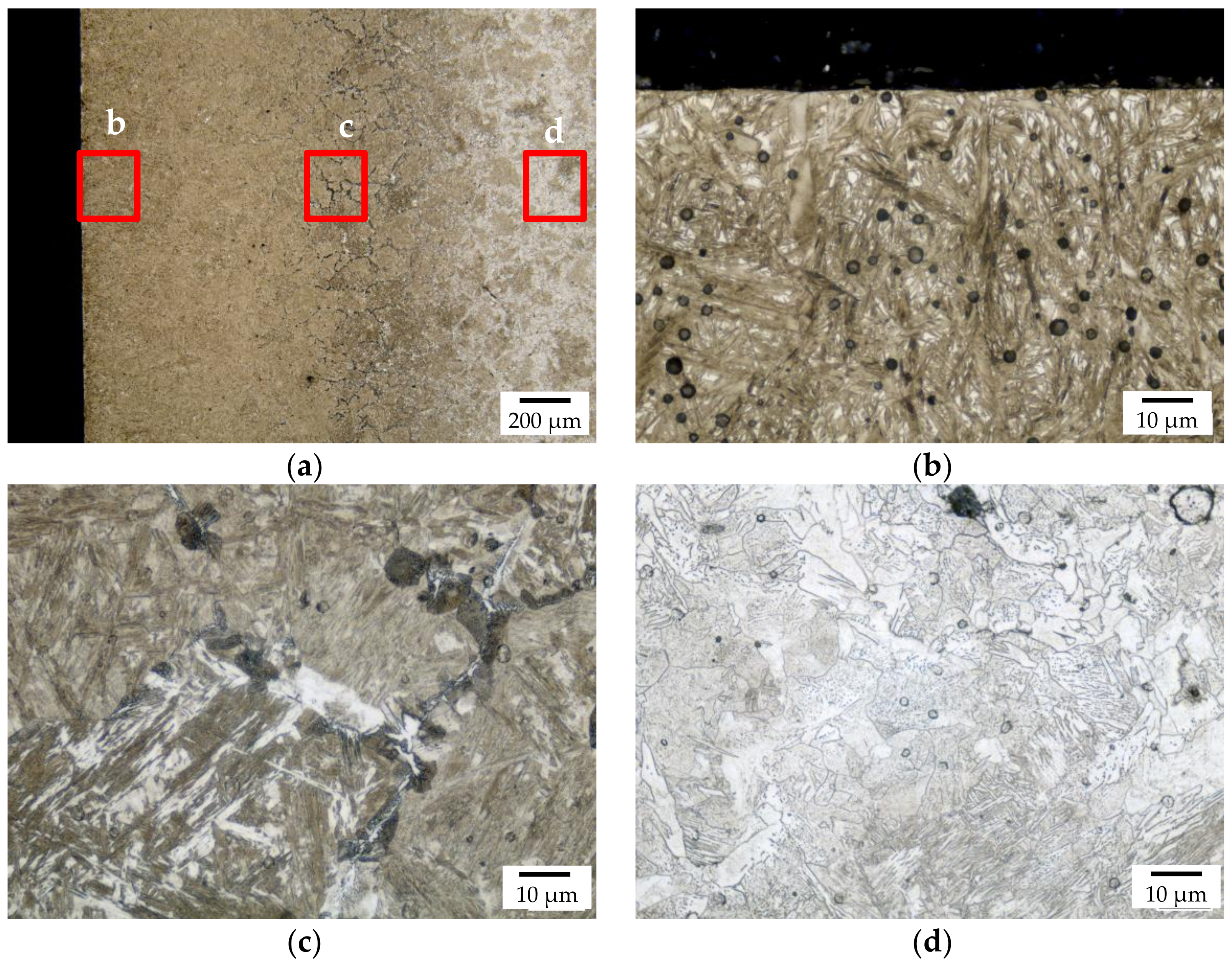 Materials 14 04358 g004 550