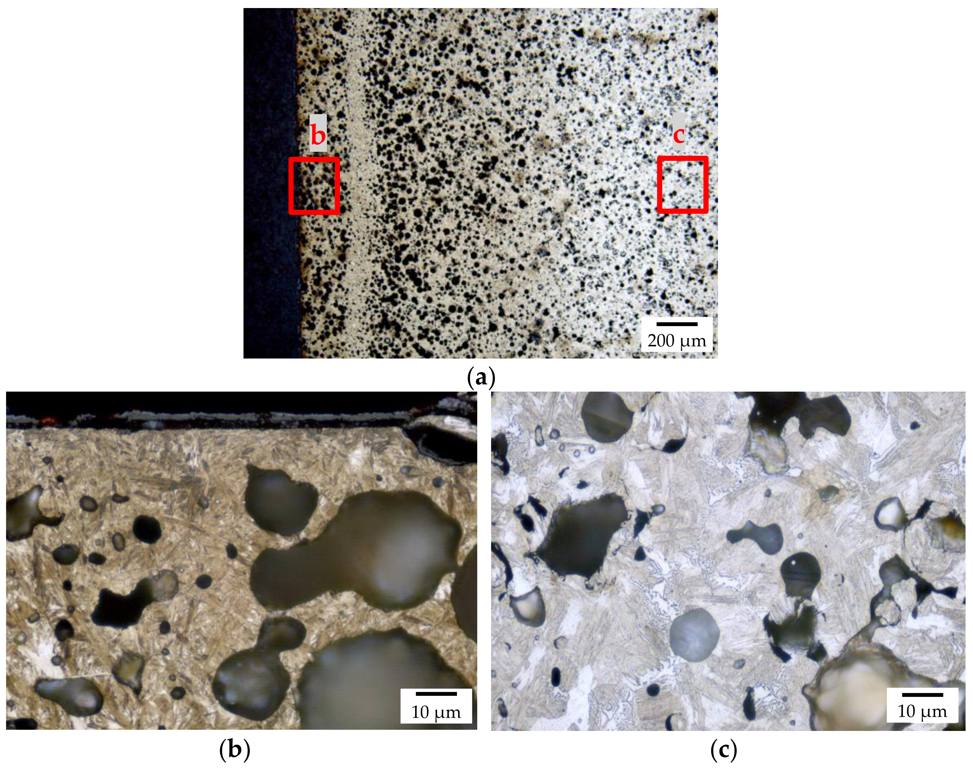 Materials 14 04358 g010 550