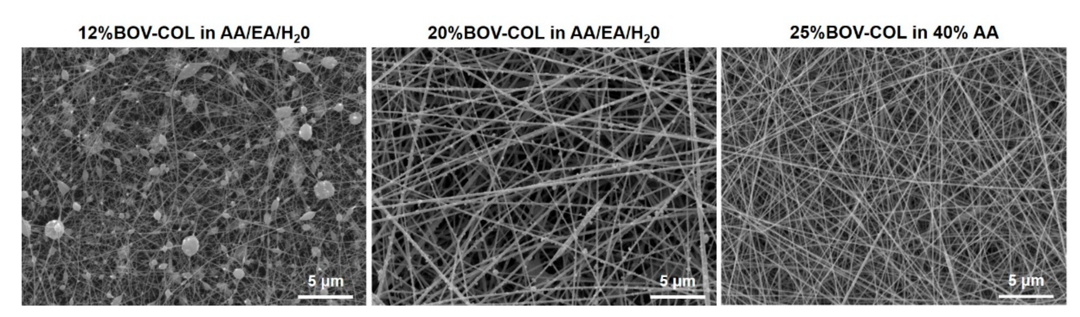 Materials 14 04360 g001 550