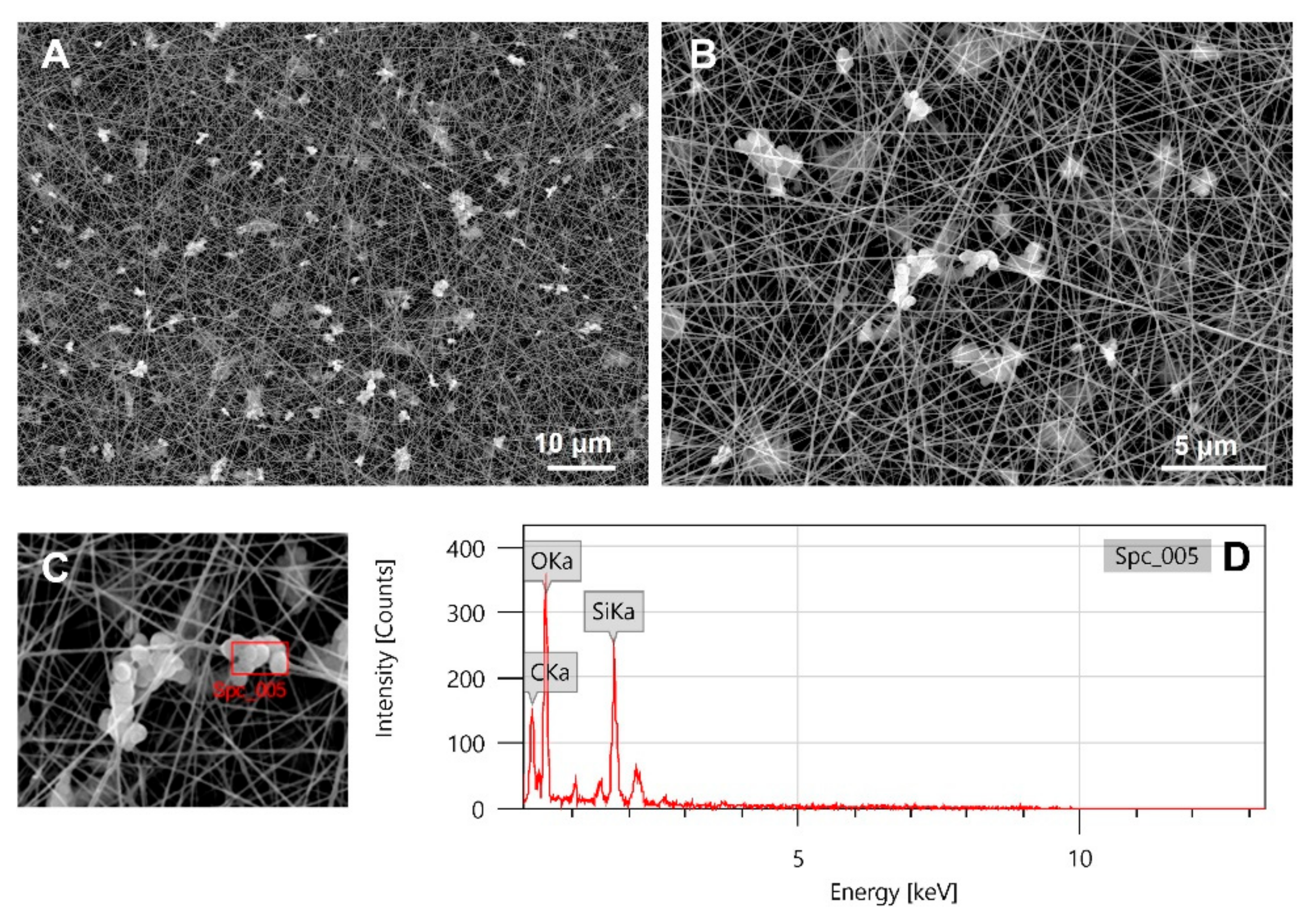 Materials 14 04360 g004 550