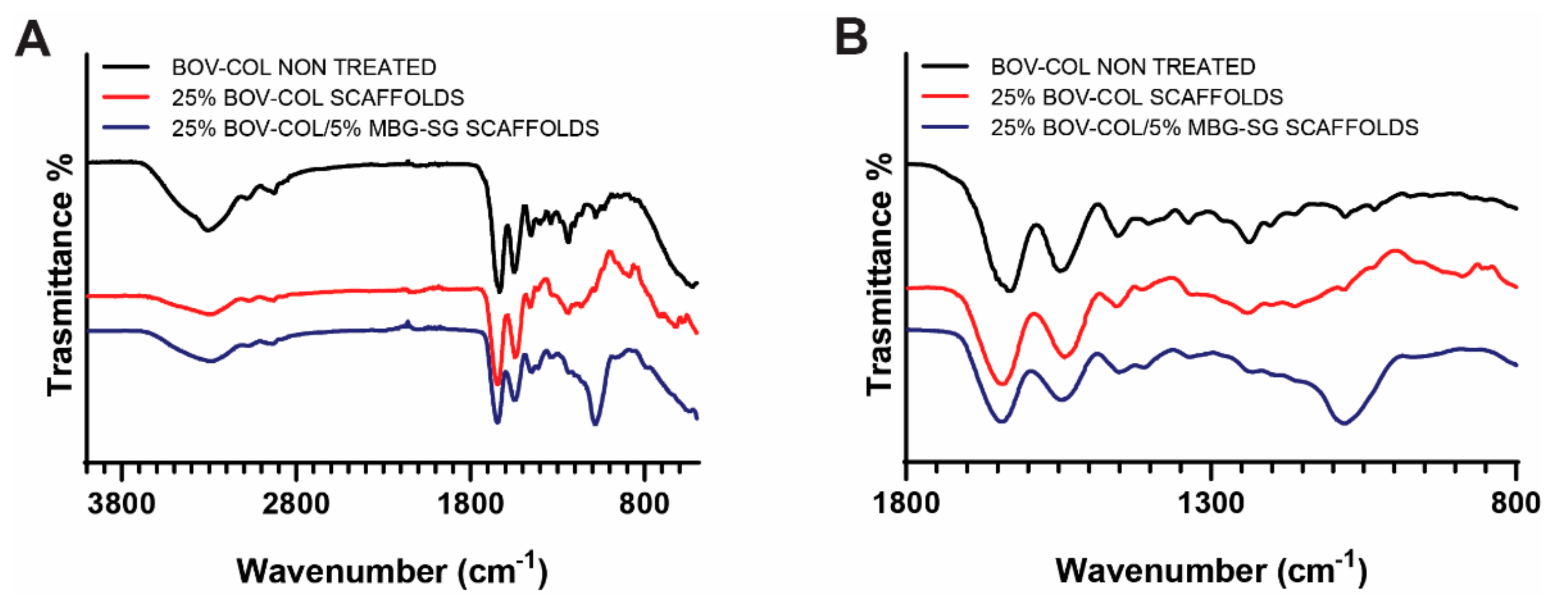 Materials 14 04360 g005 550