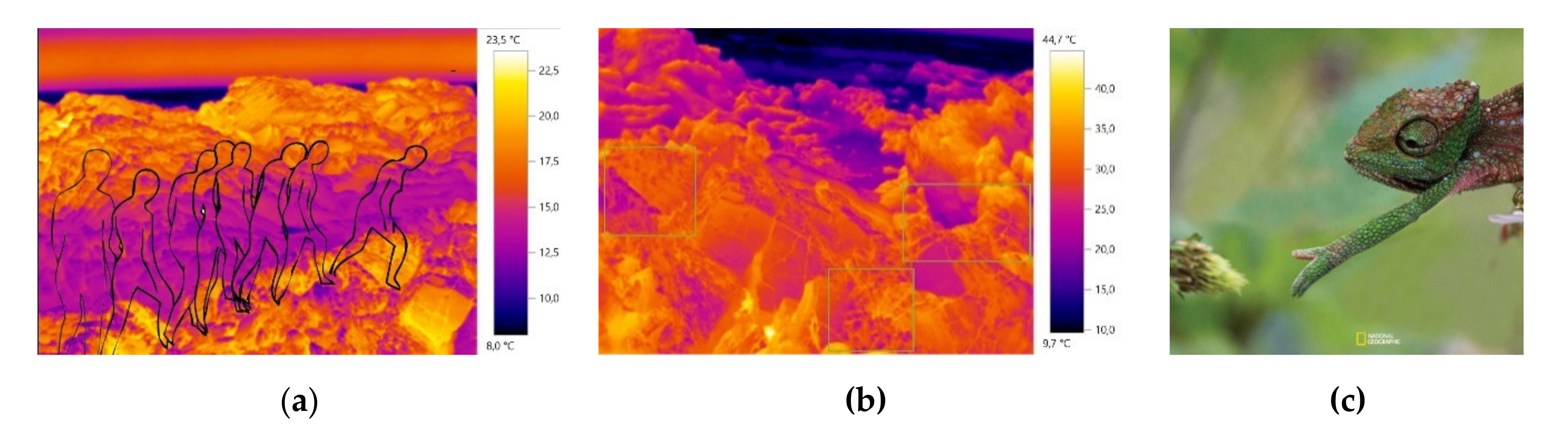 Materials 14 04364 g003 550