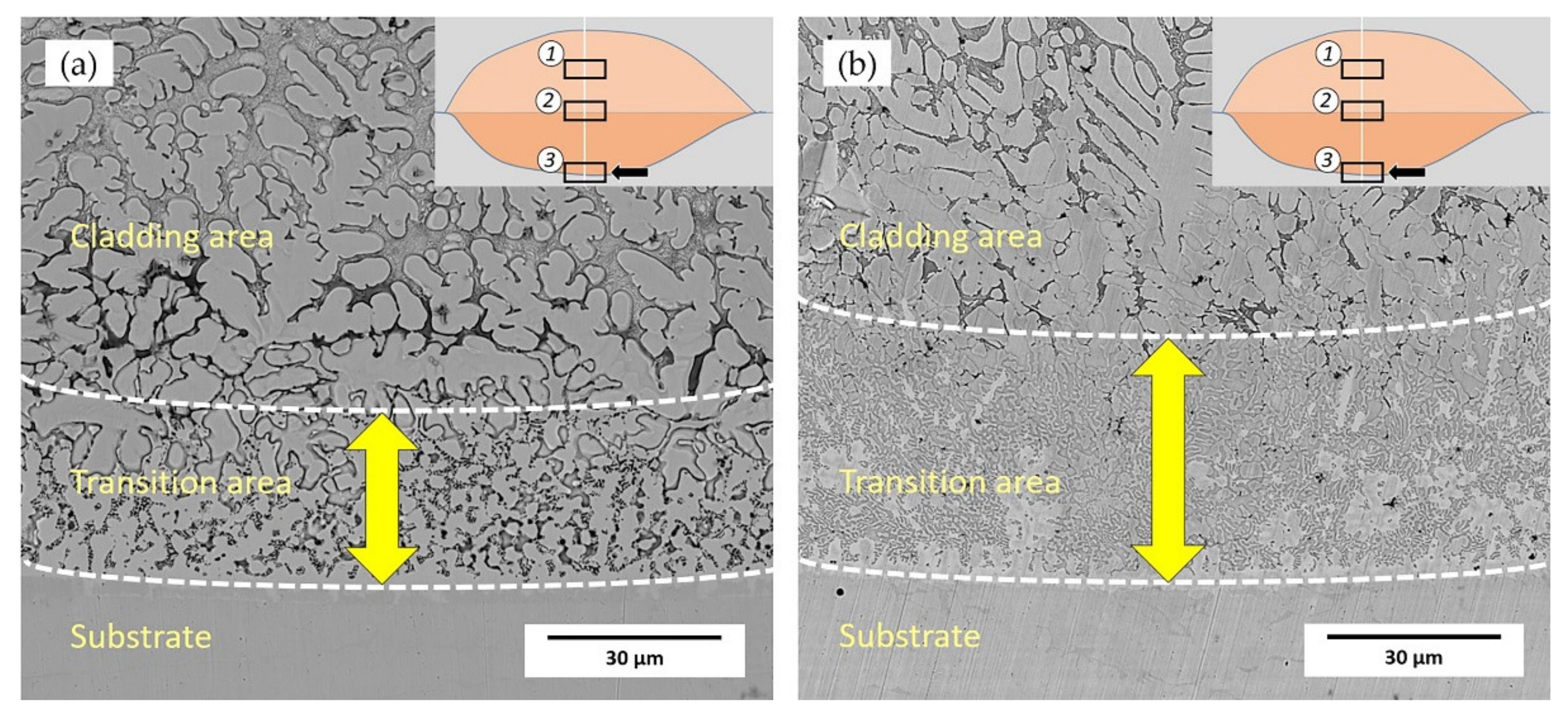 Materials 14 04373 g006