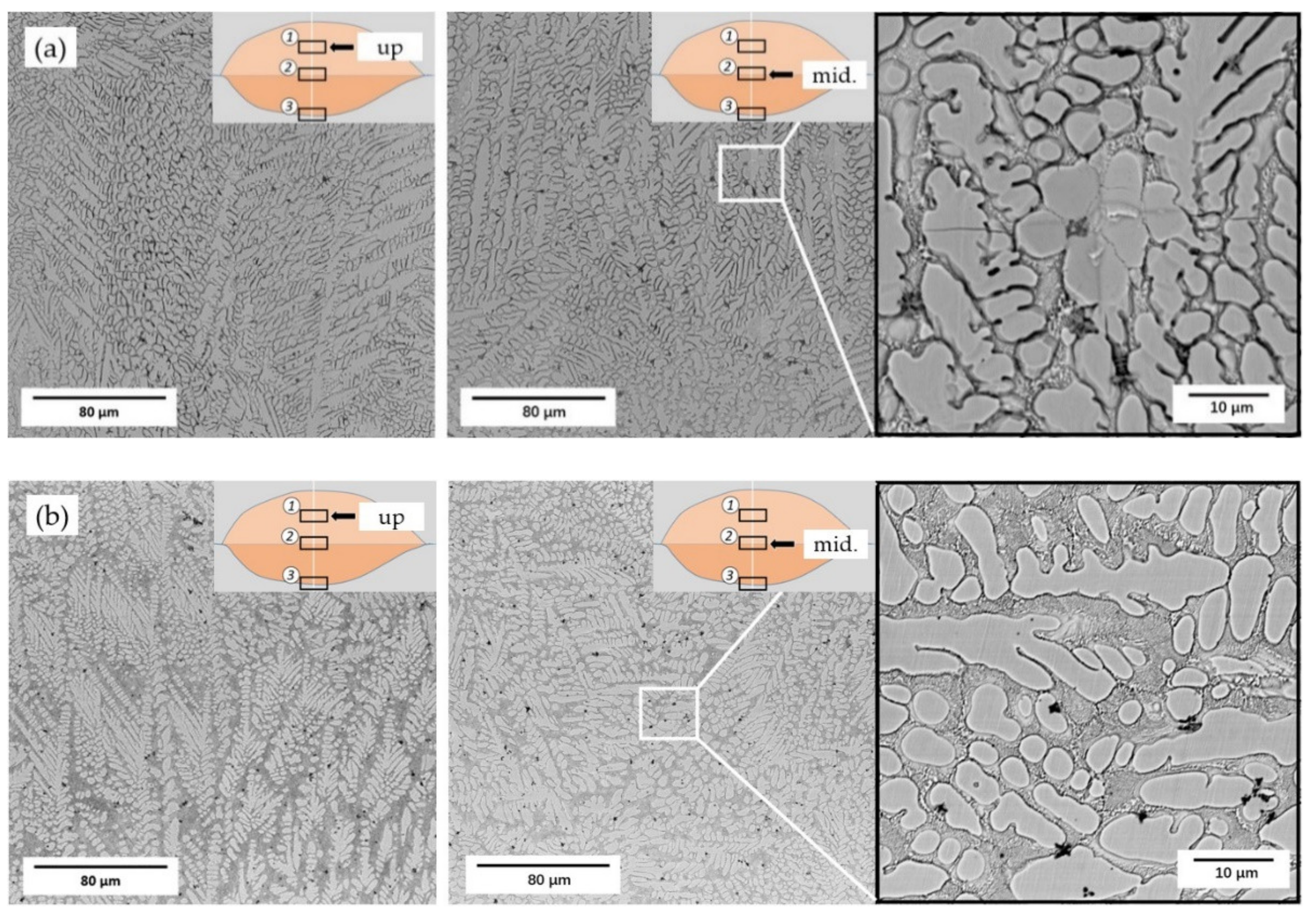 Materials 14 04373 g007