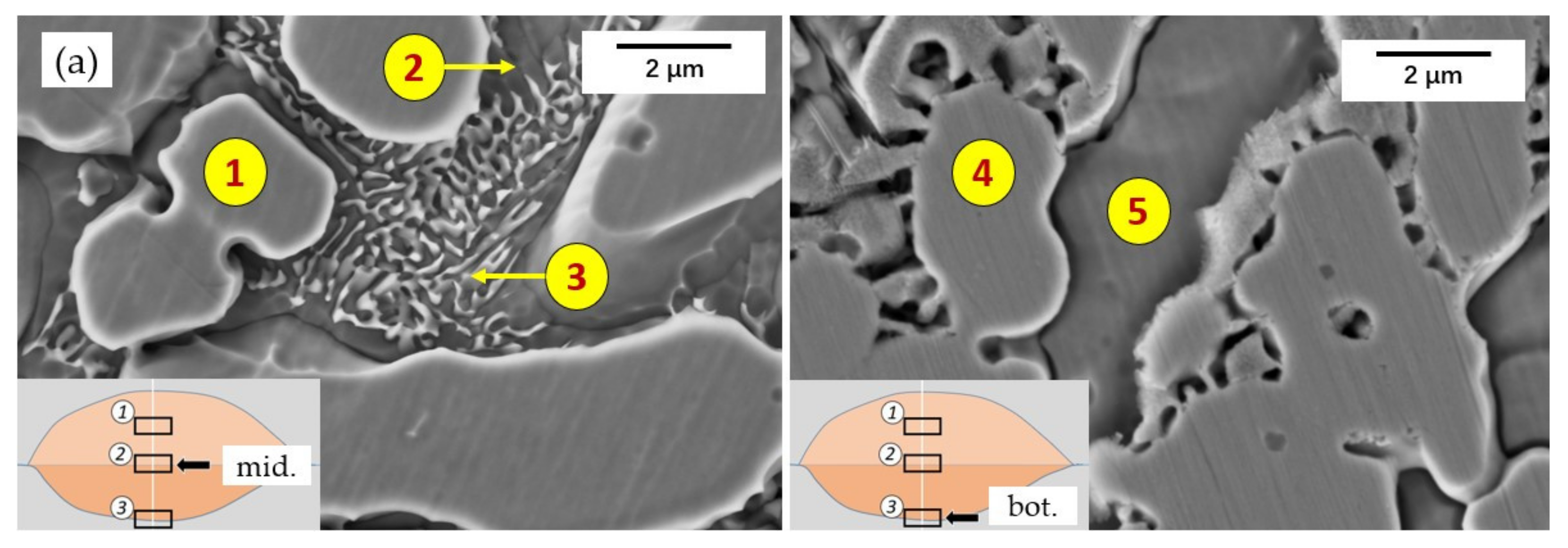 Materials 14 04373 g010a