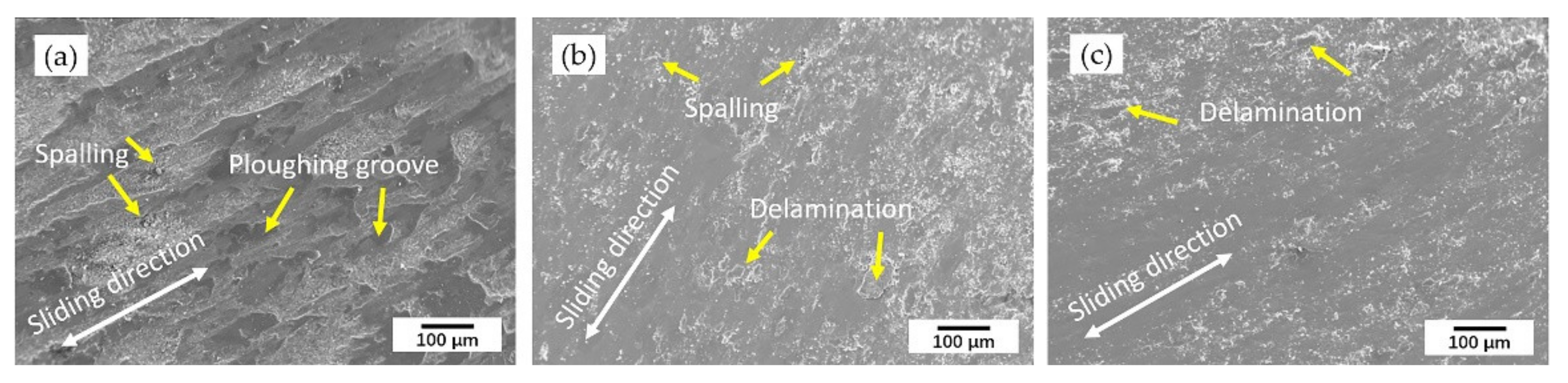 Materials 14 04373 g013