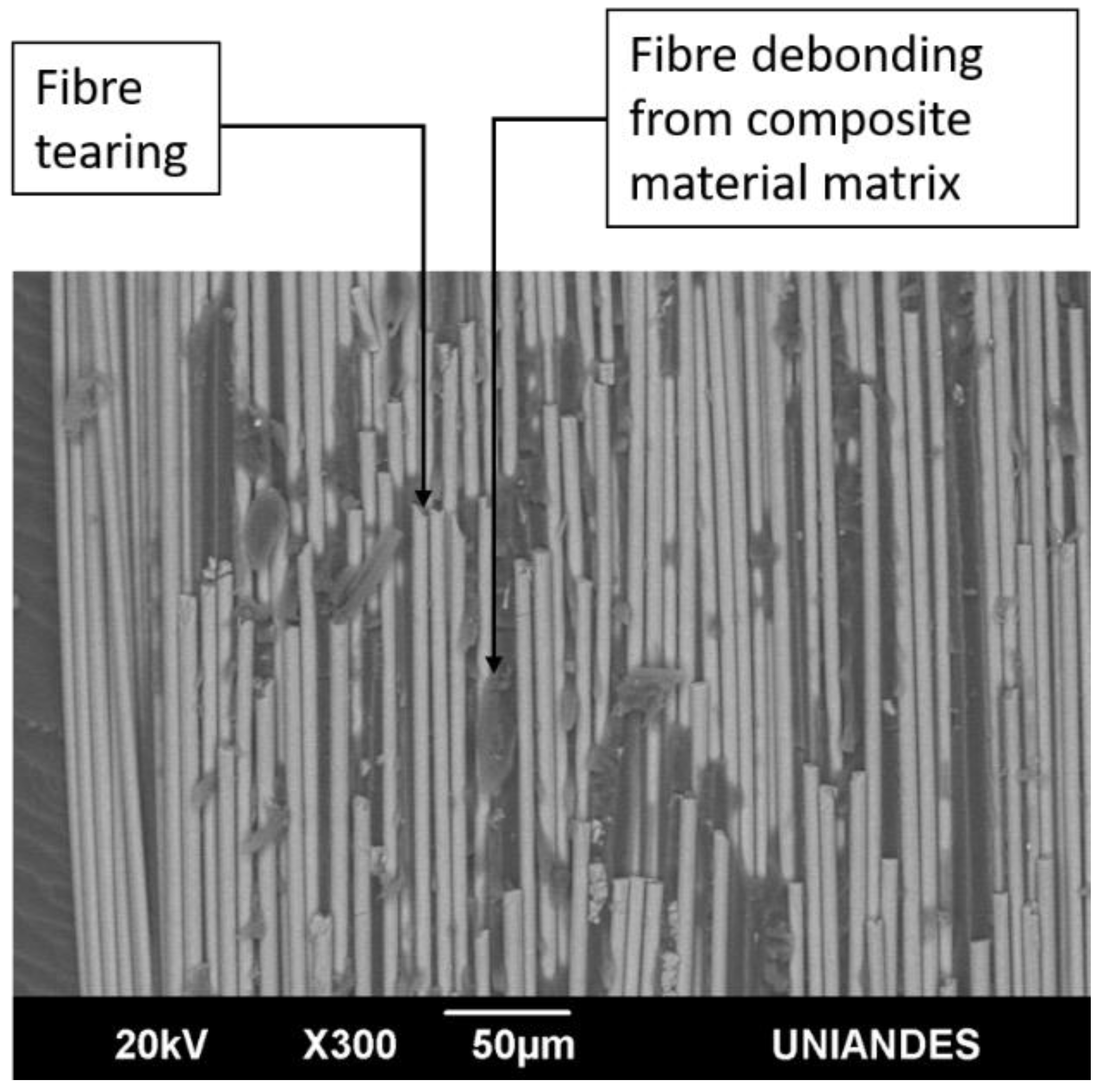 Materials 14 04380 g018