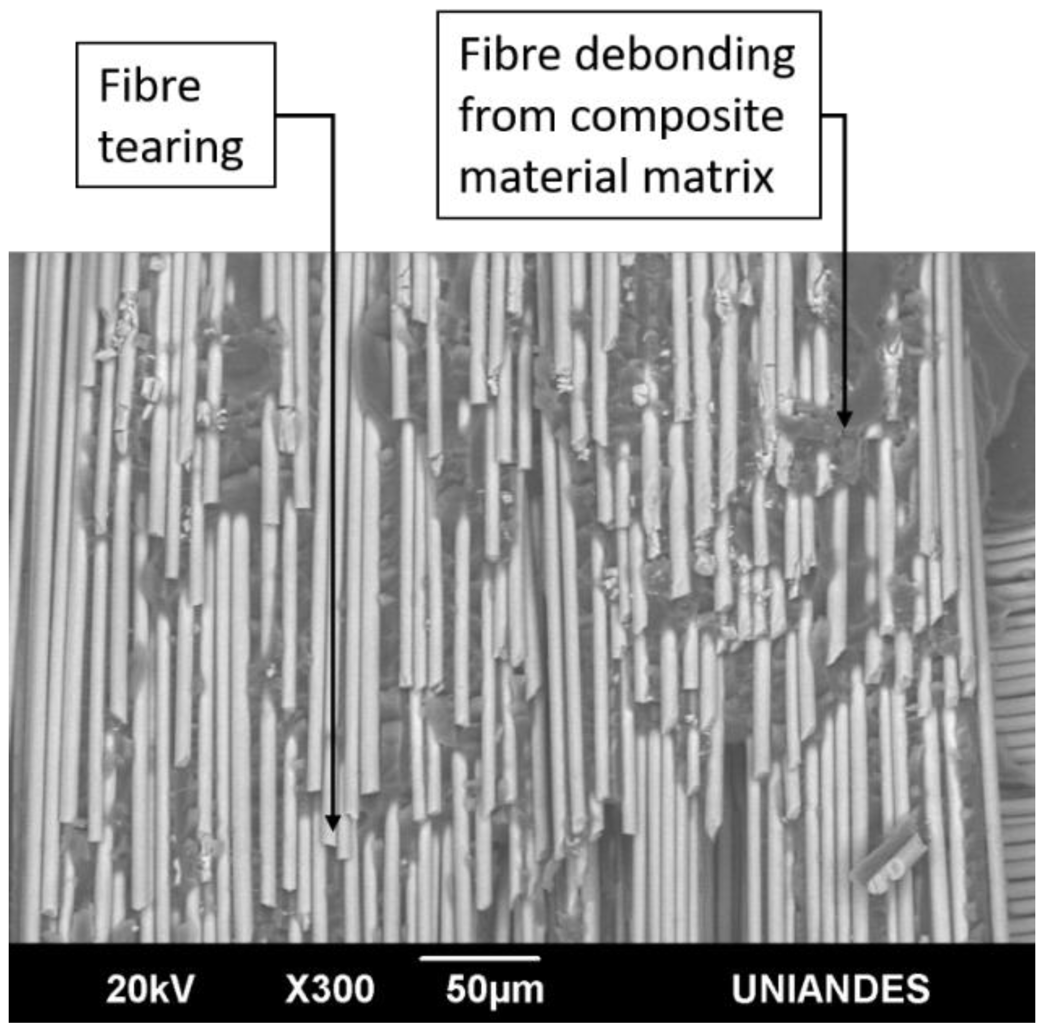 Materials 14 04380 g019