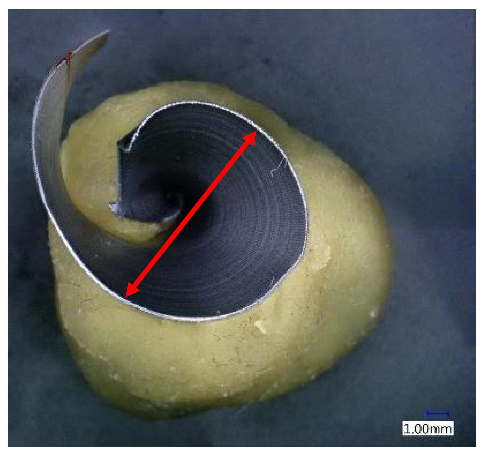 Materials 14 04381 g004 550