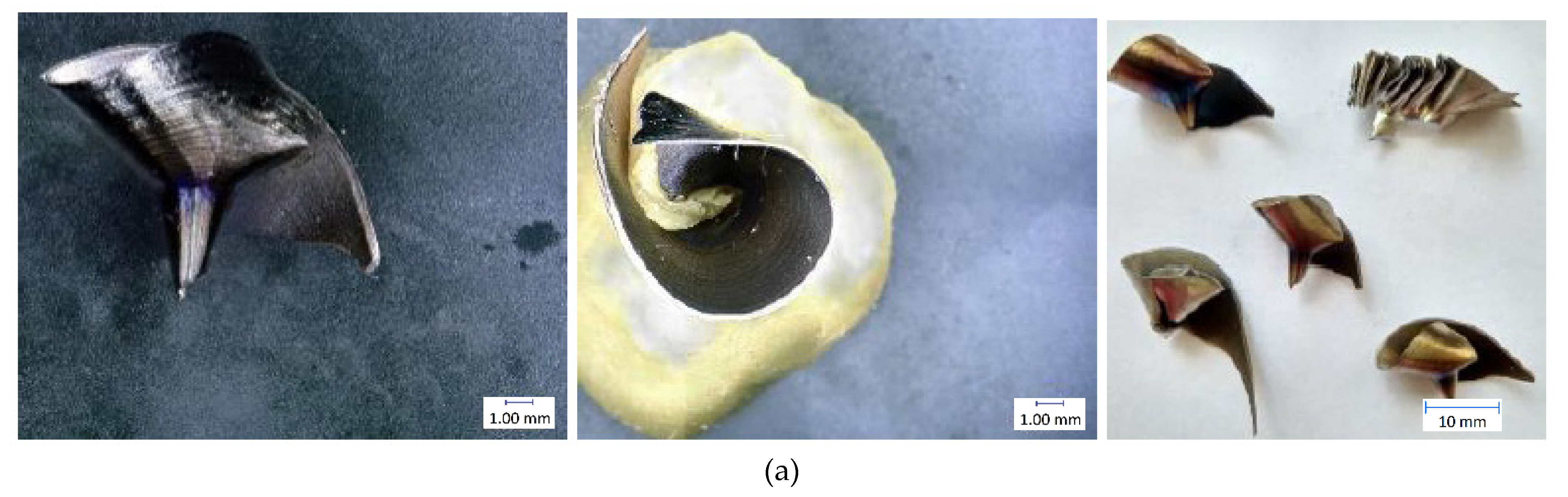 Materials 14 04381 g014a 550