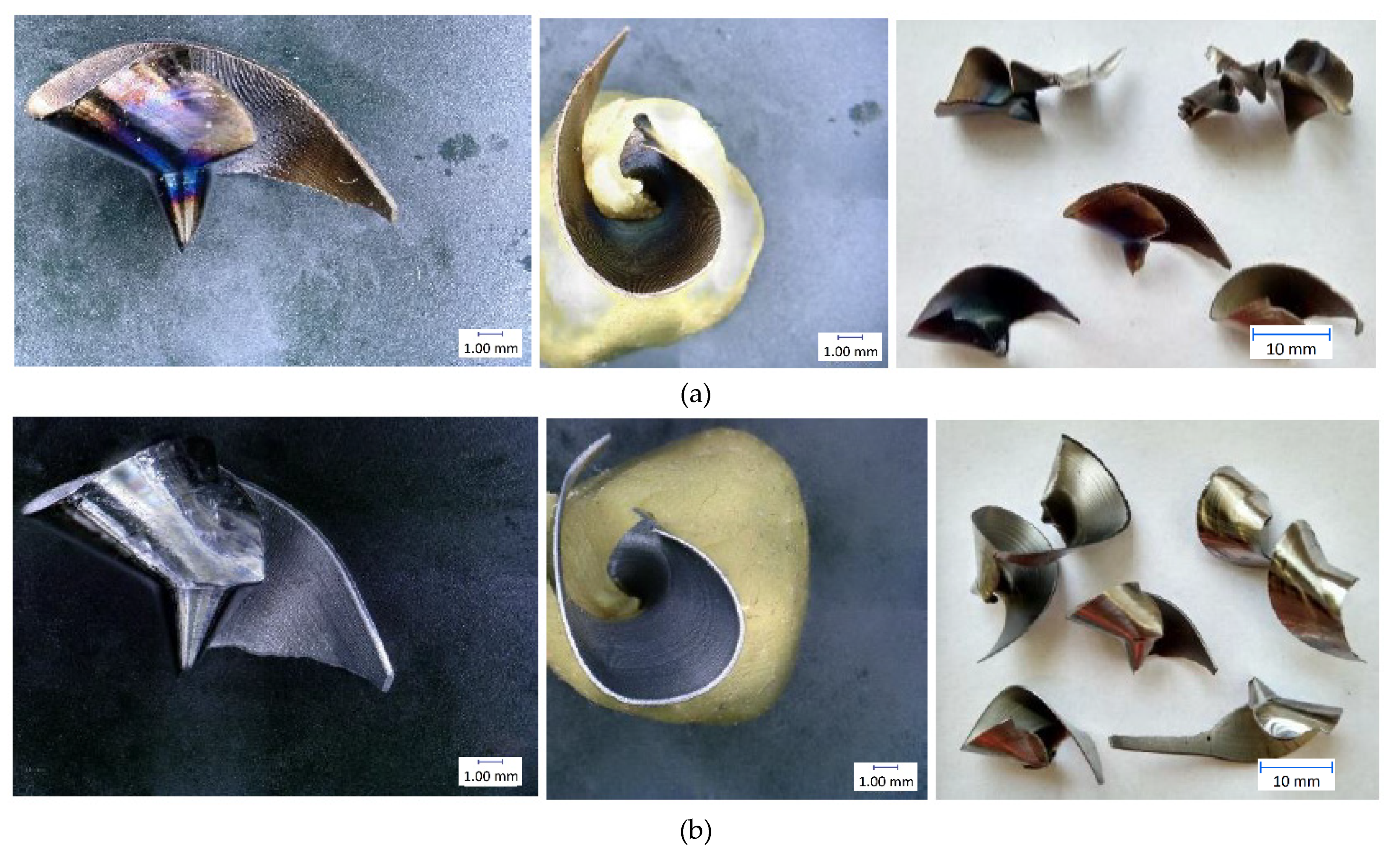 Materials 14 04381 g015 550