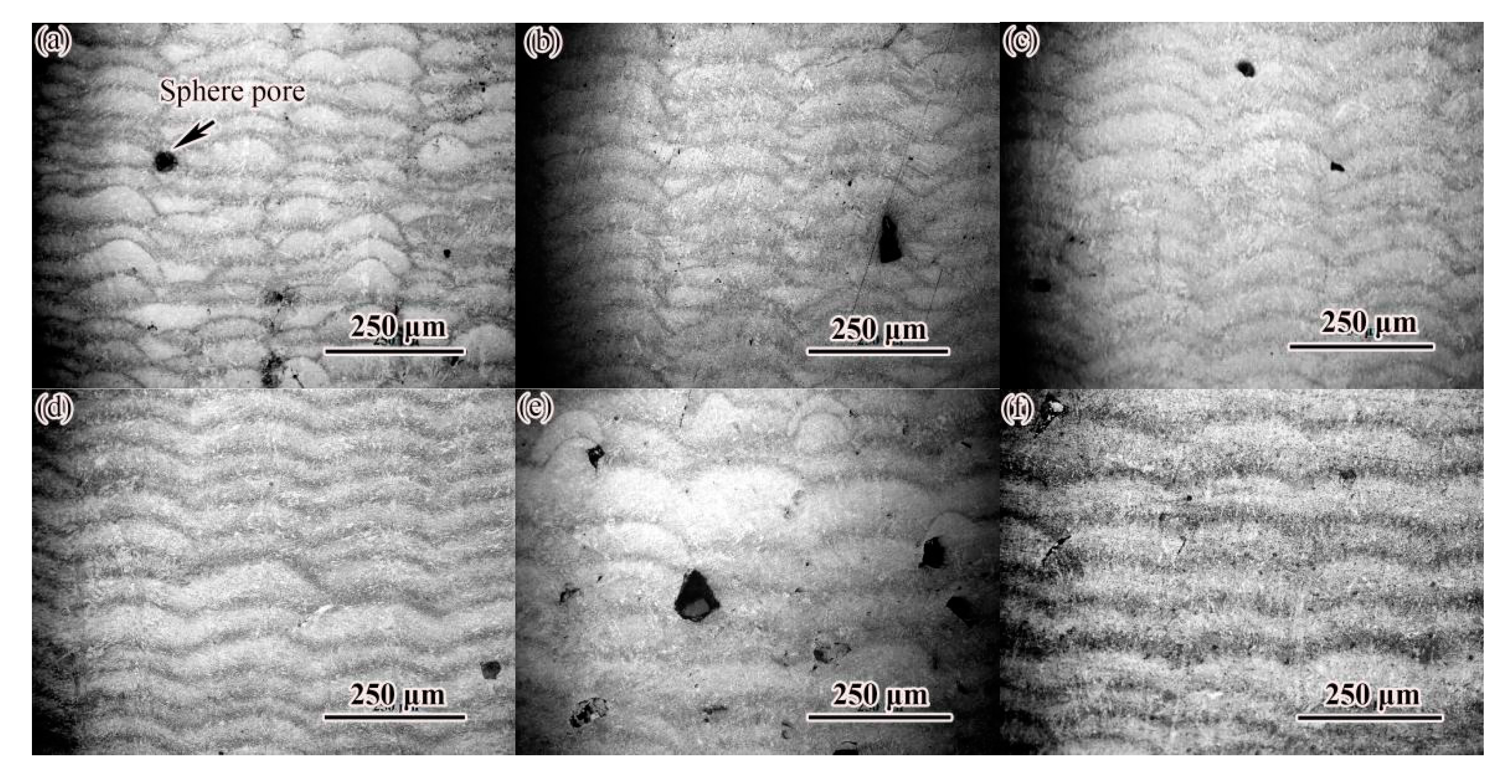 Materials 14 04383 g006 550