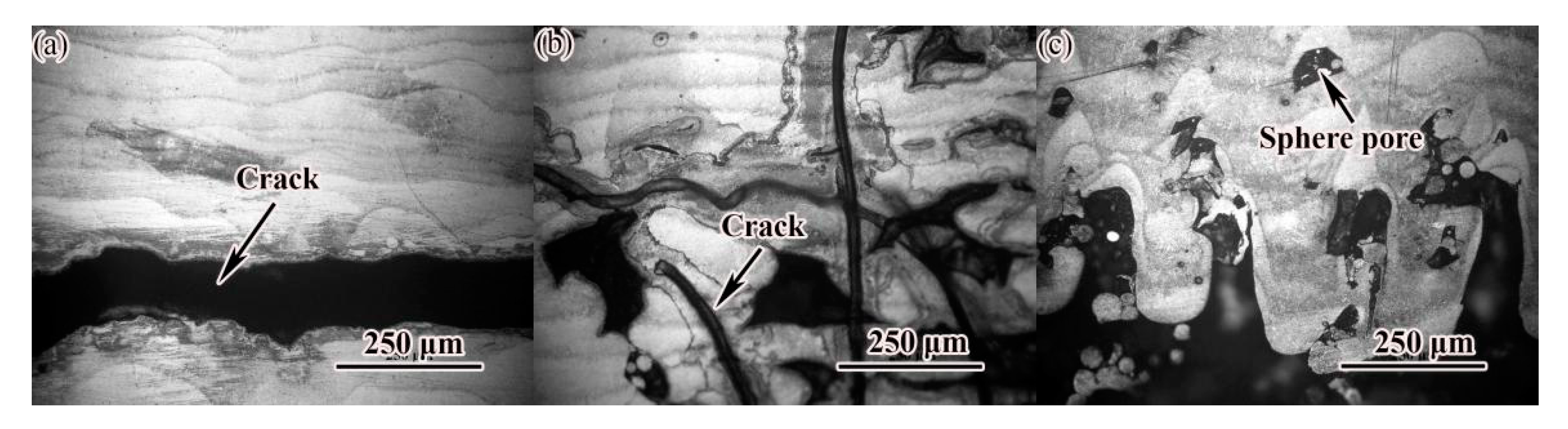 Materials 14 04383 g007 550