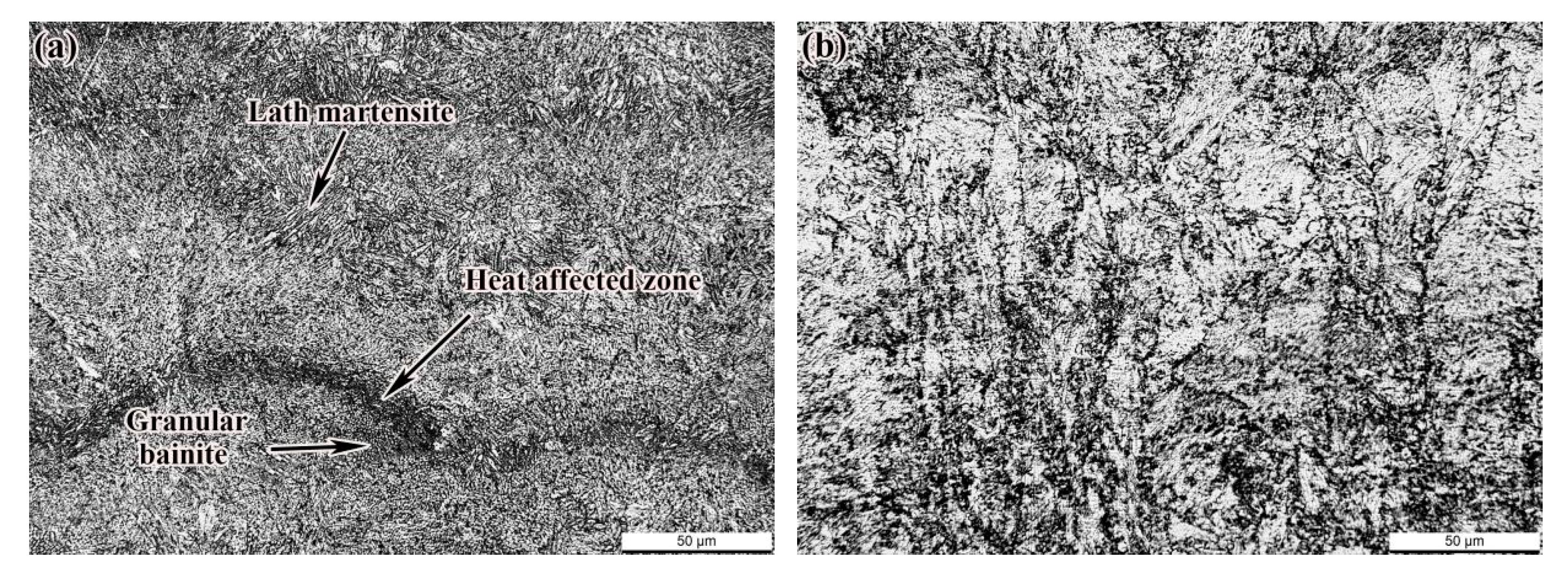 Materials 14 04383 g010 550