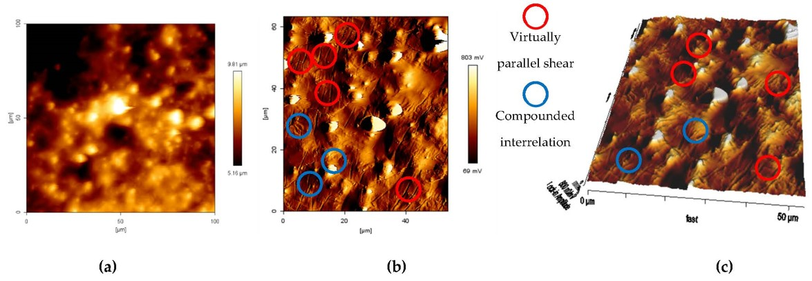 Materials 14 04384 g005 550