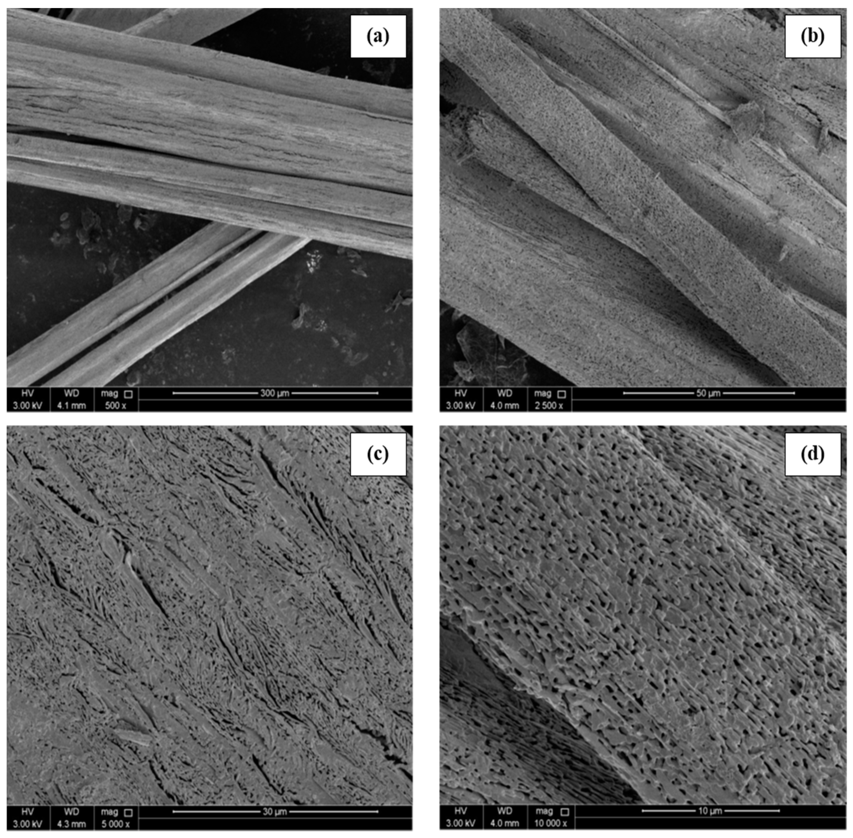 Materials 14 04385 g002