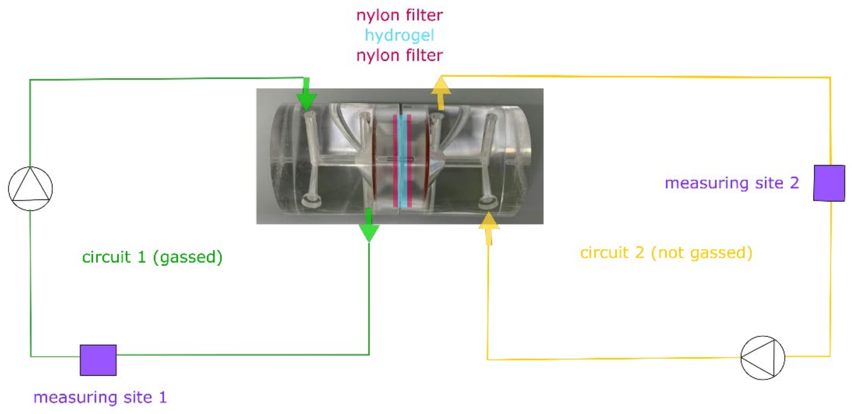 Materials 14 04387 g001