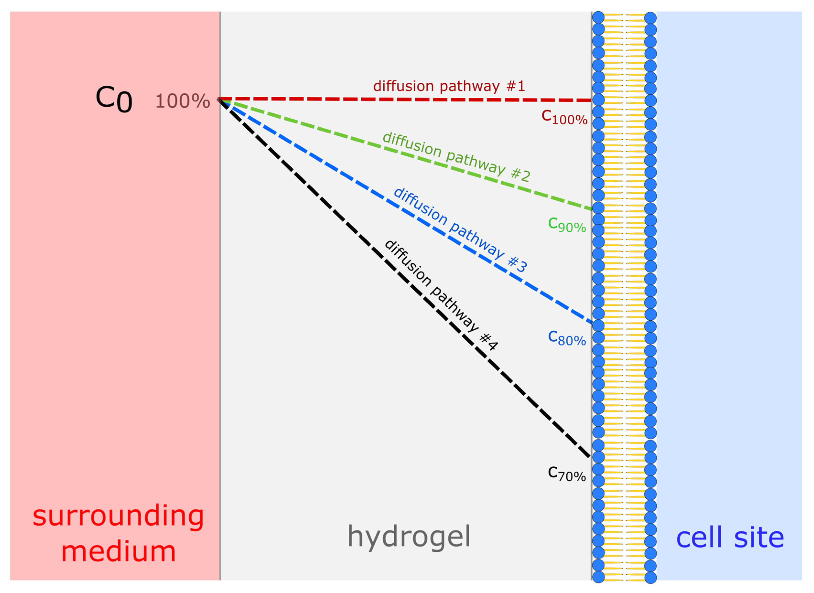 Materials 14 04387 g002