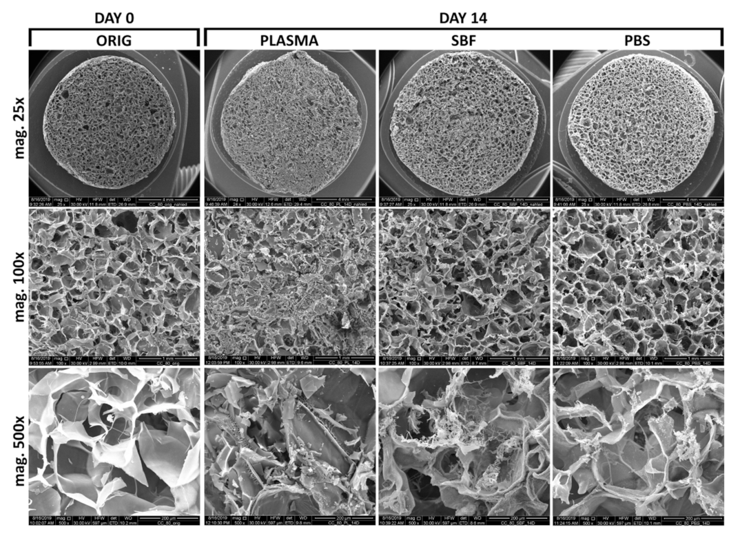 Materials 14 04388 g002