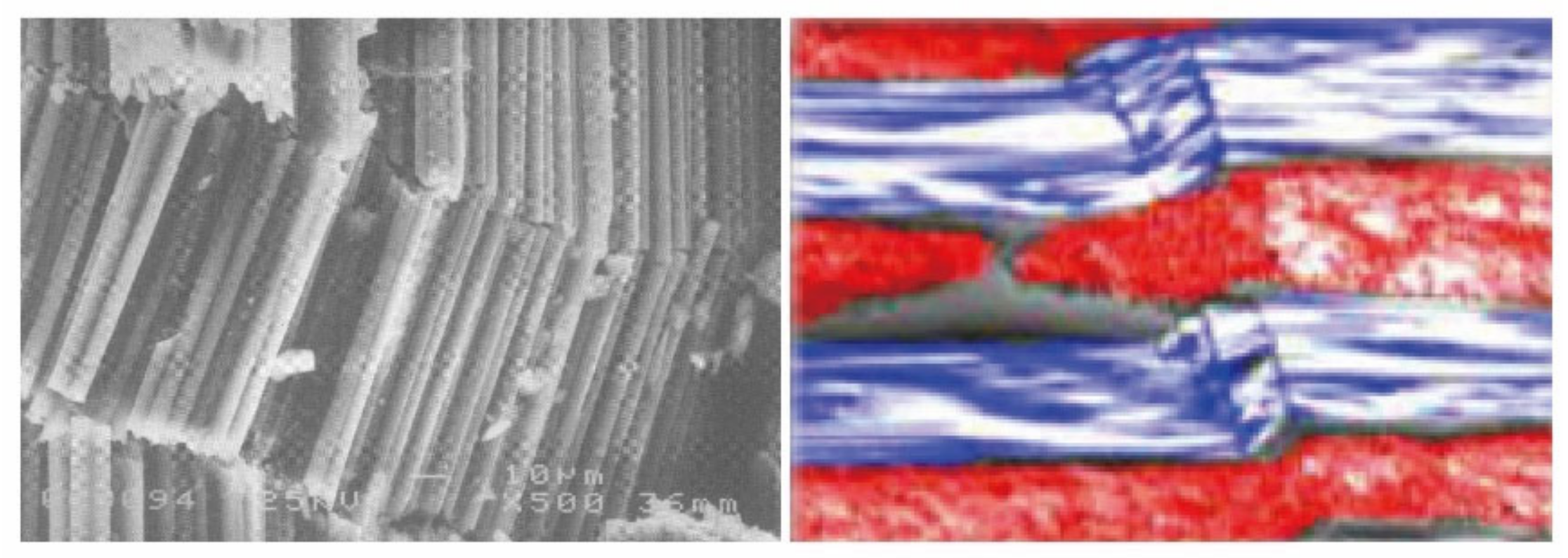 Materials 14 04393 g011 550