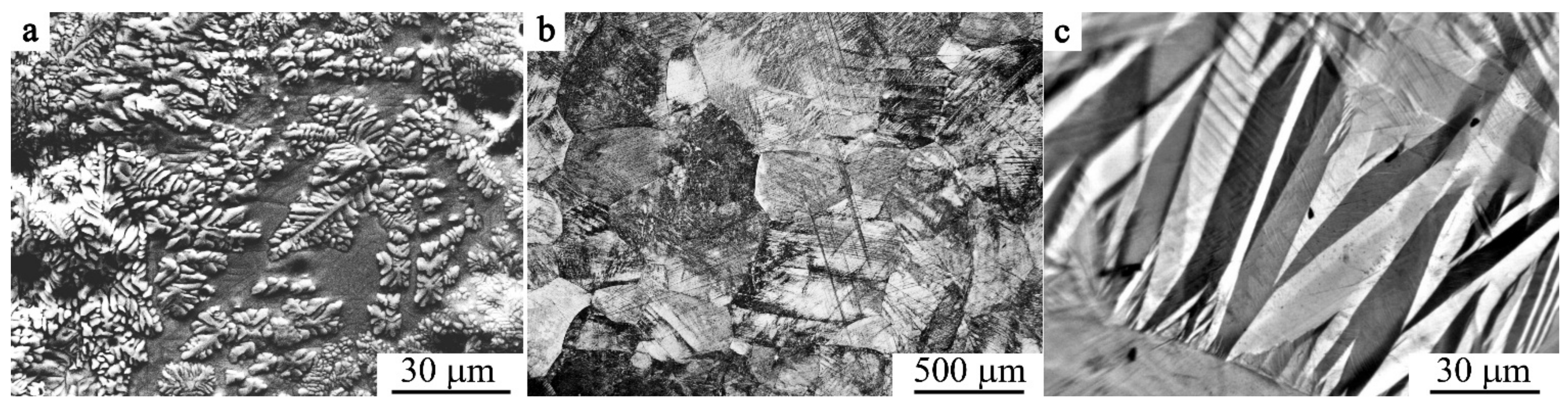 Materials 14 04394 g001