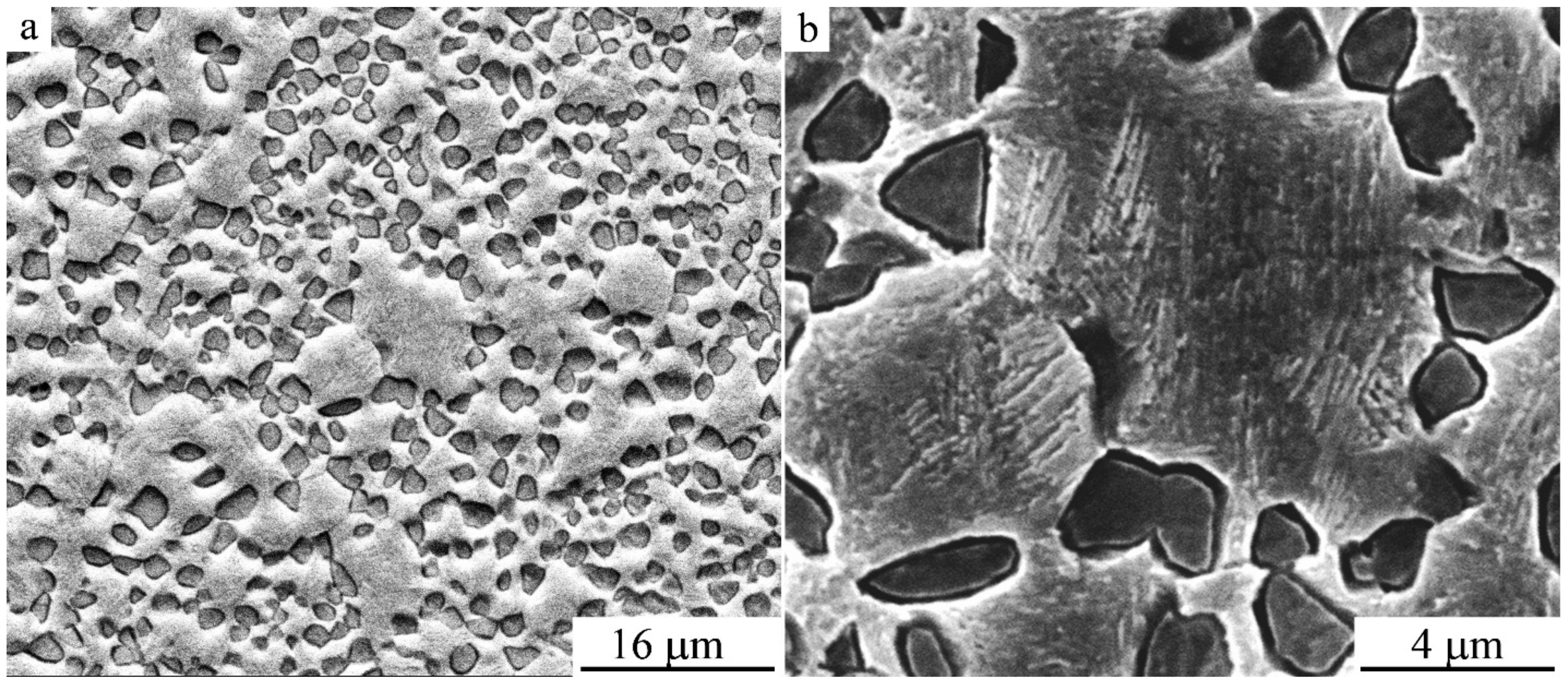 Materials 14 04394 g016