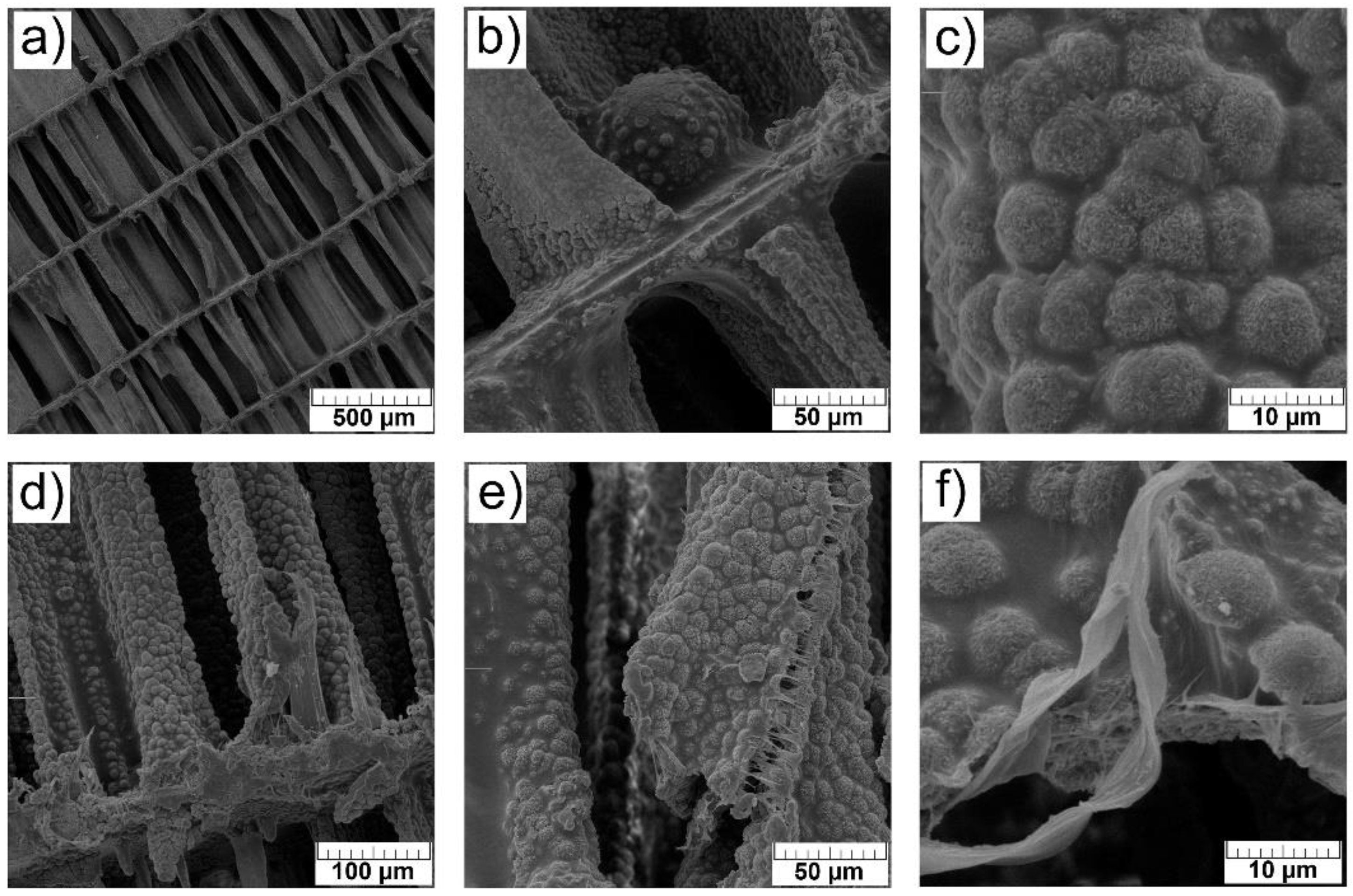 Materials 14 04403 g005 550