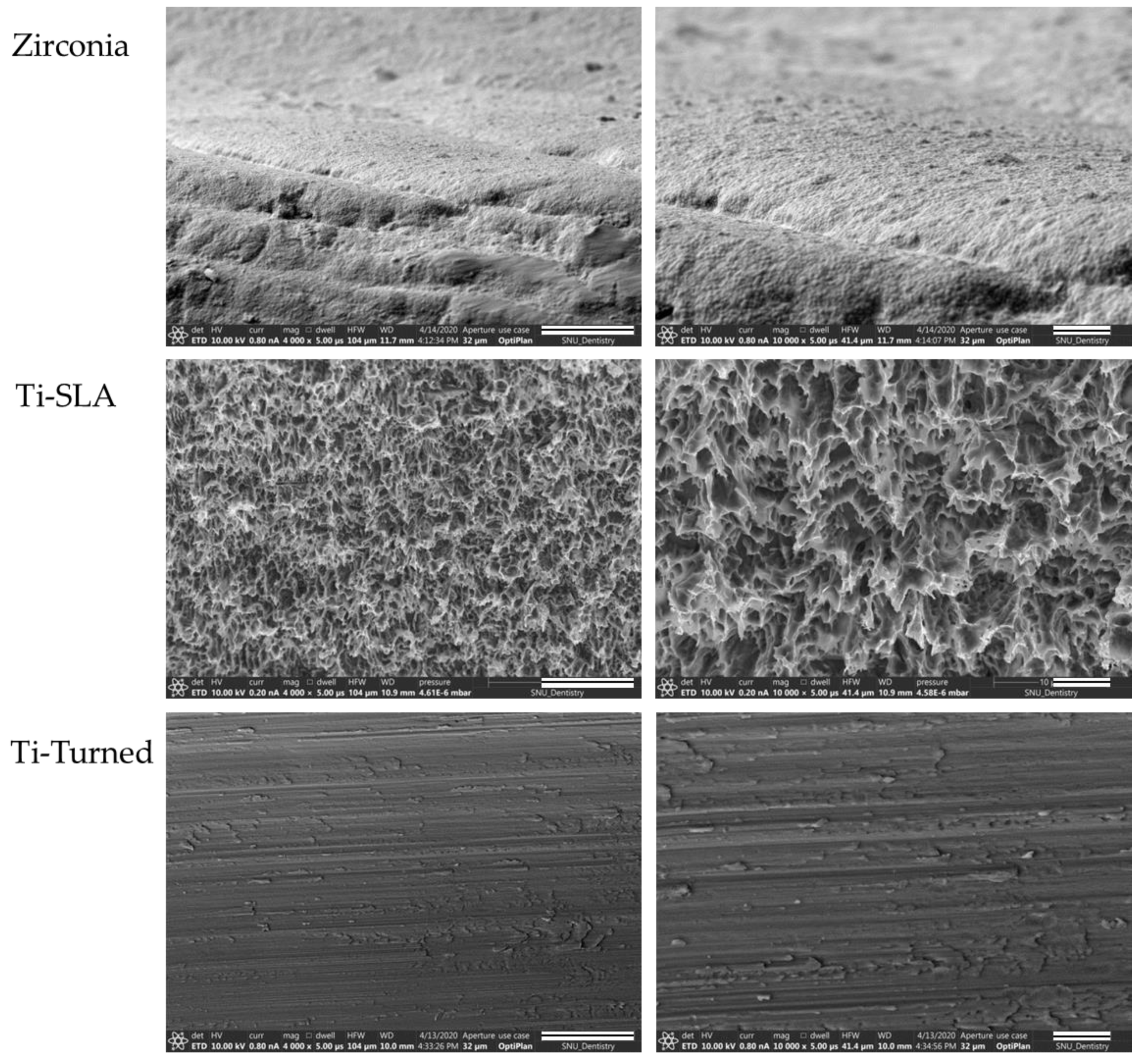 Materials 14 04405 g001