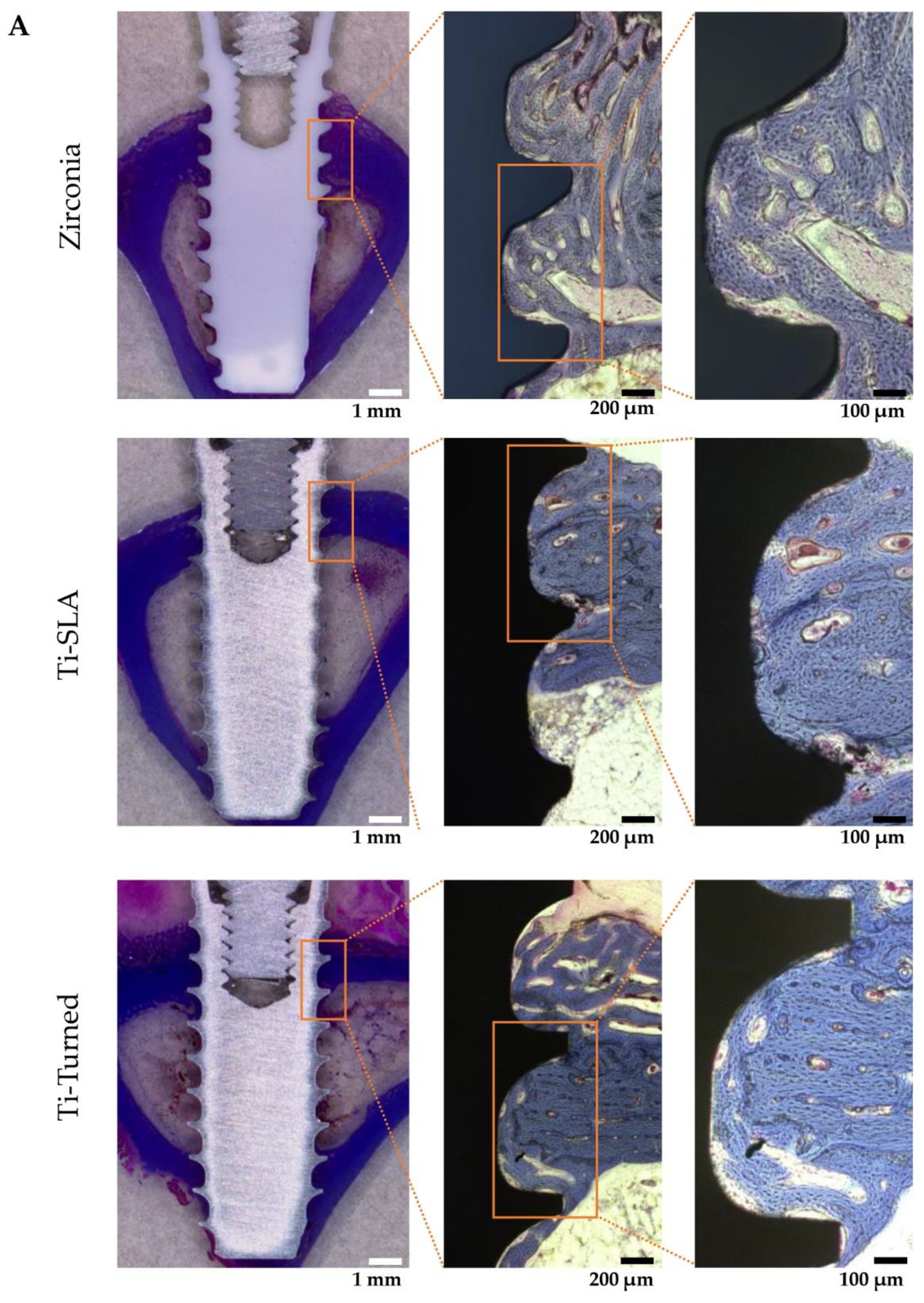 Materials 14 04405 g003a