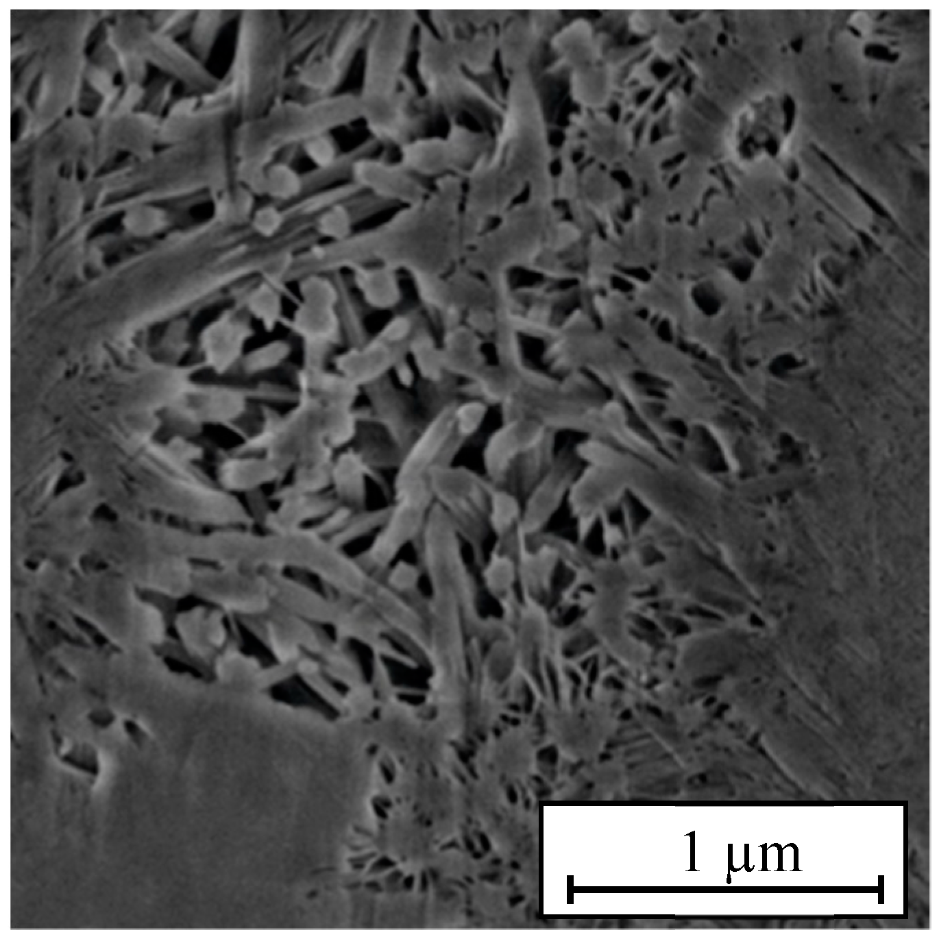 Materials 14 04406 g005 550