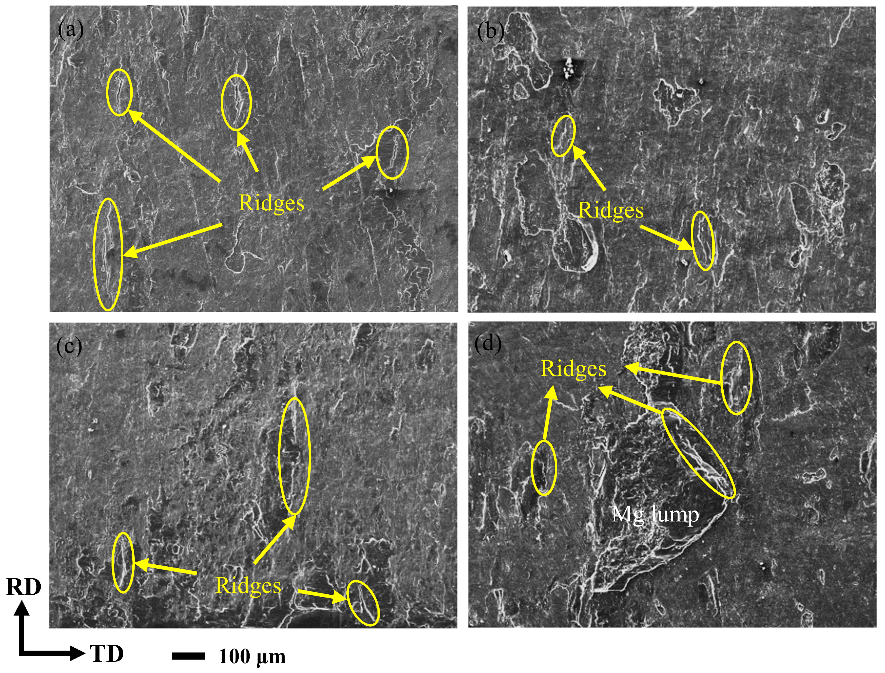Materials 14 04412 g009 550