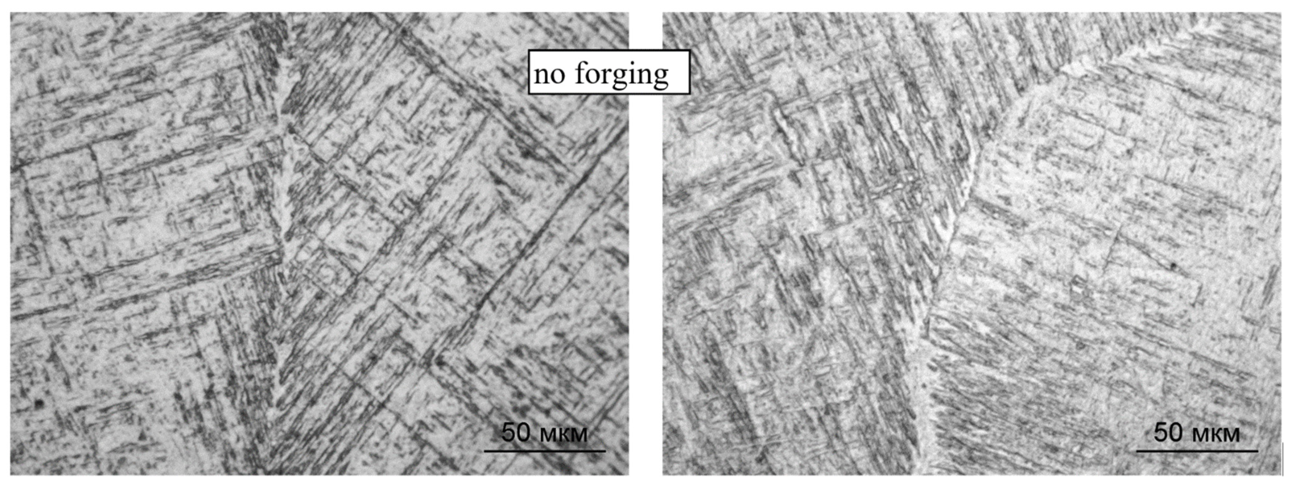 Materials 14 04415 g007 550