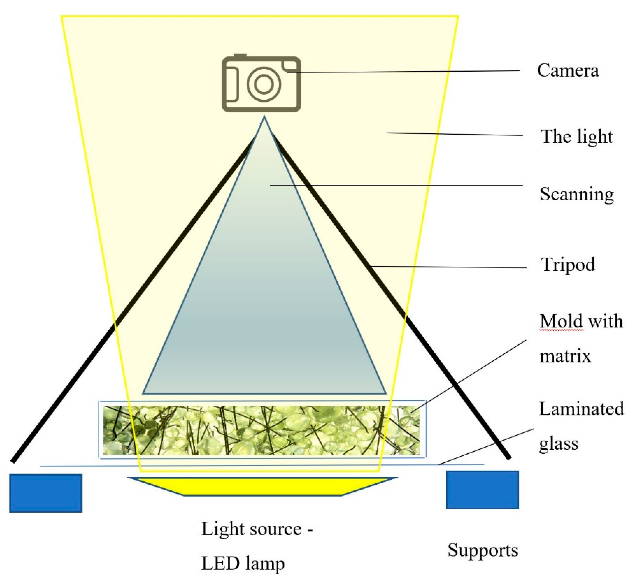 Materials 14 04432 g009 550