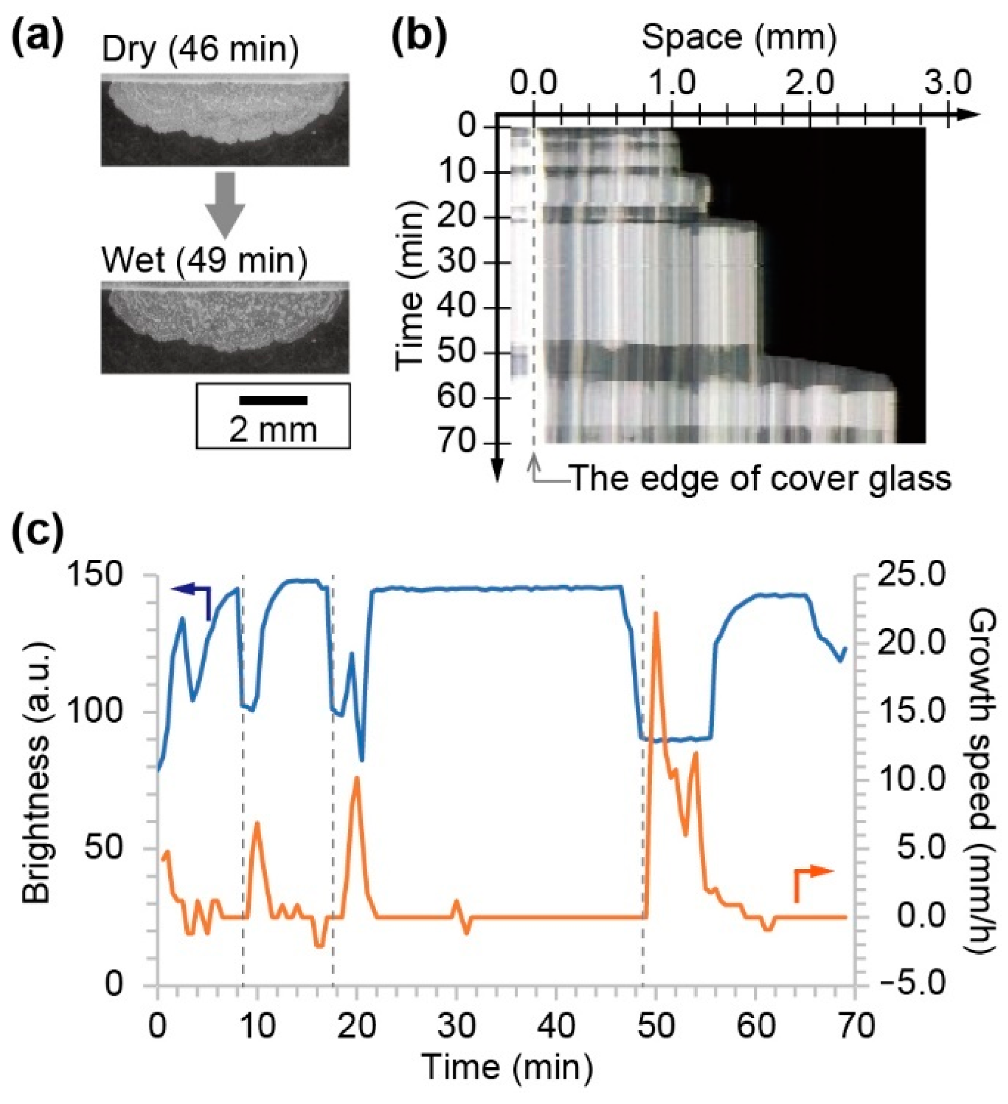 Materials 14 04434 g003 550