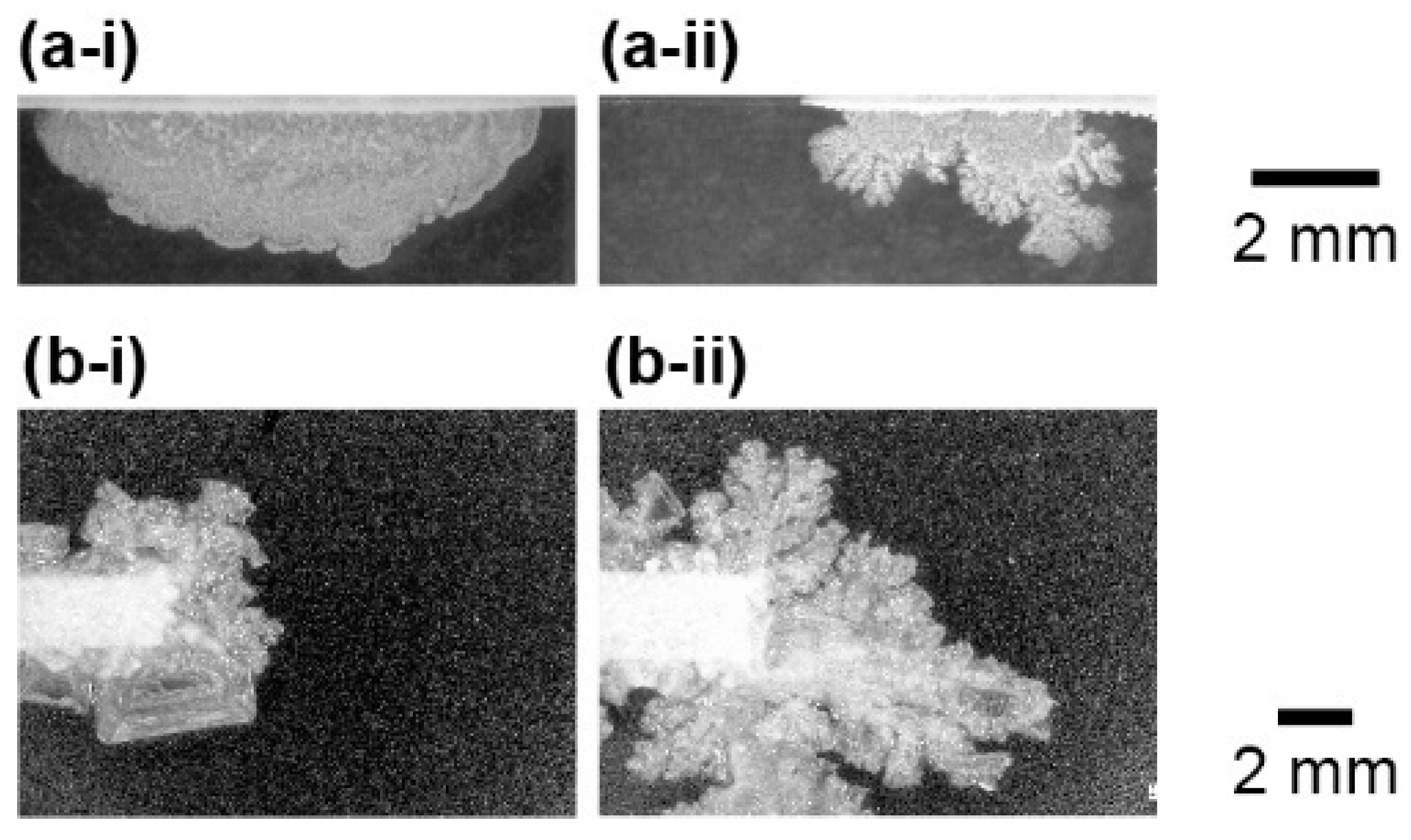 Materials 14 04434 g004 550