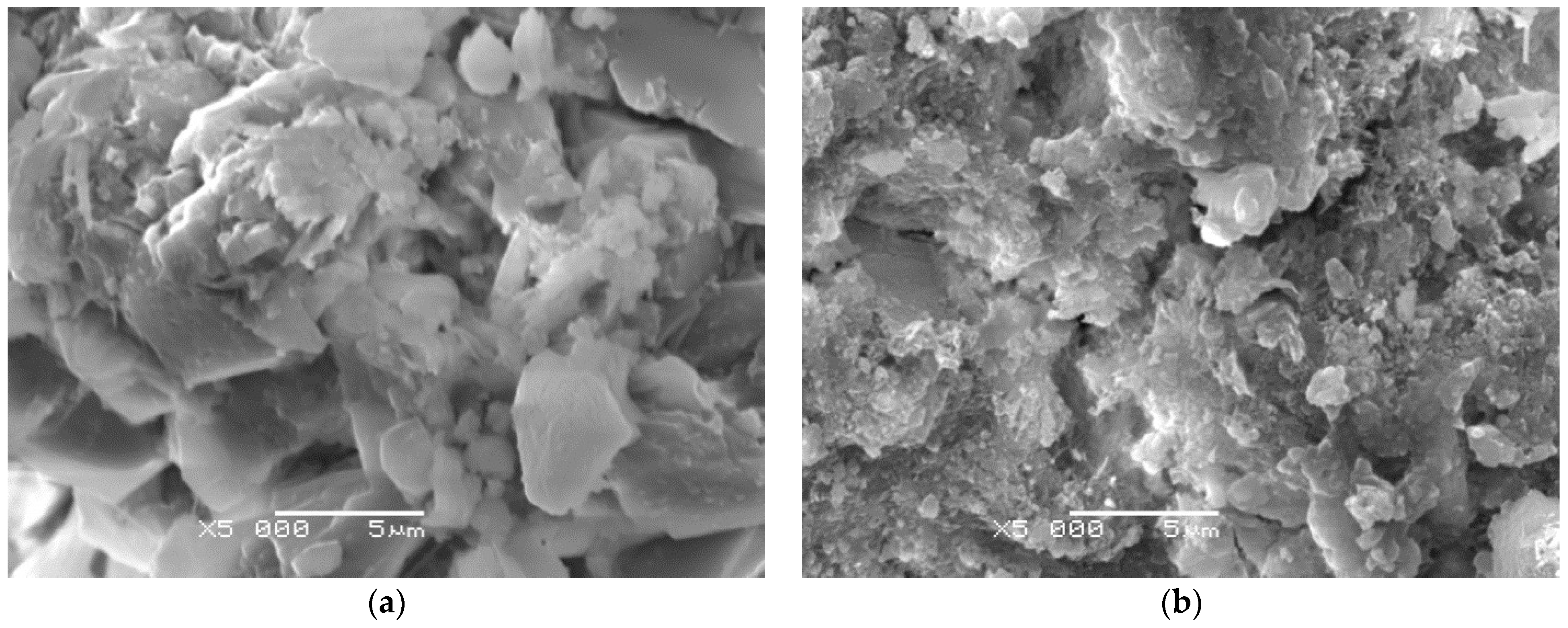 Materials 14 04441 g012 550