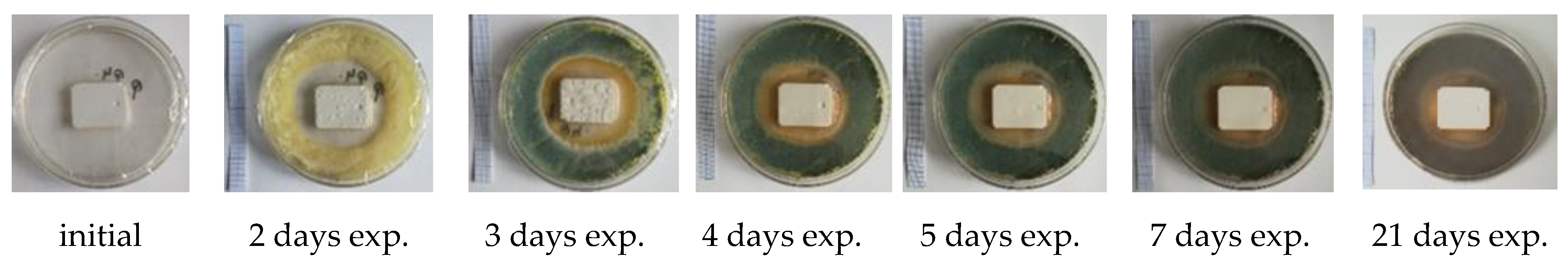 Materials 14 04442 g004 550