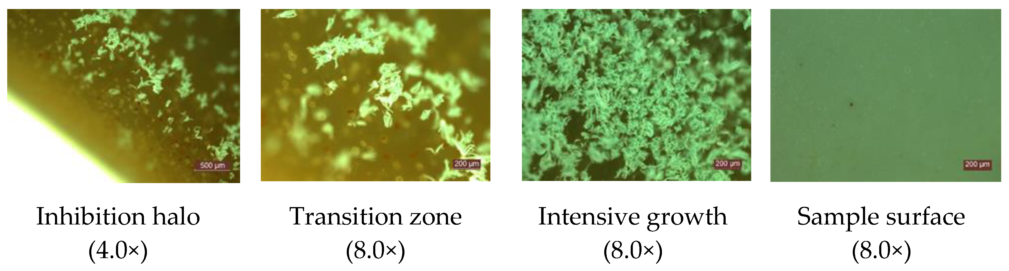 Materials 14 04442 g005 550