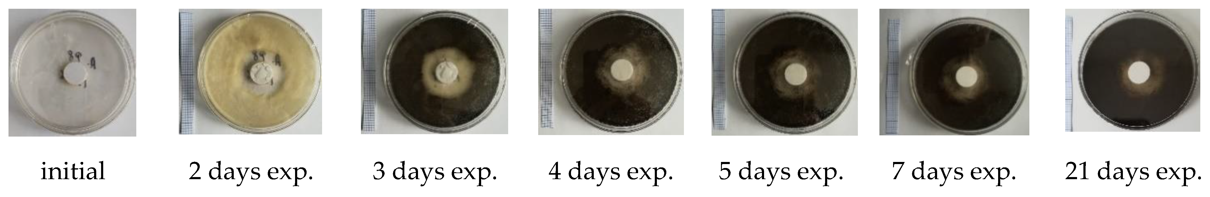 Materials 14 04442 g006 550