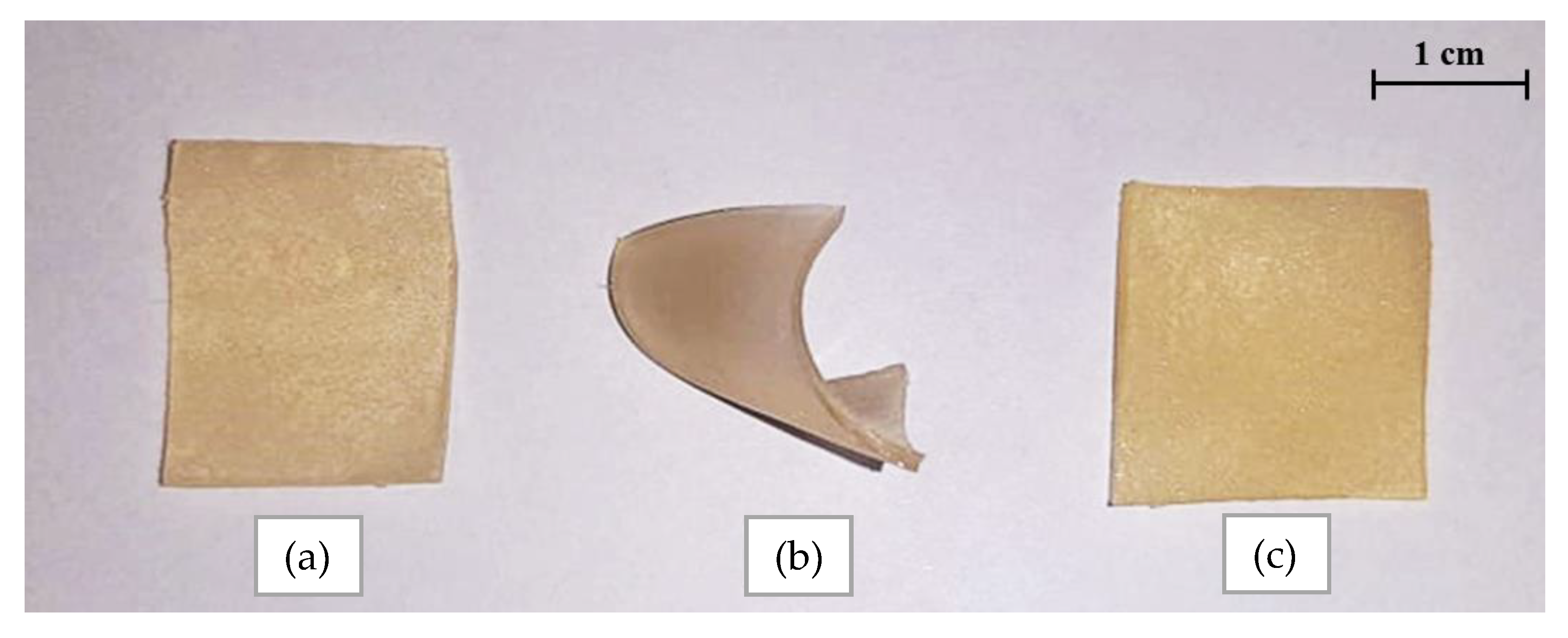 Materials 14 04443 g002 550