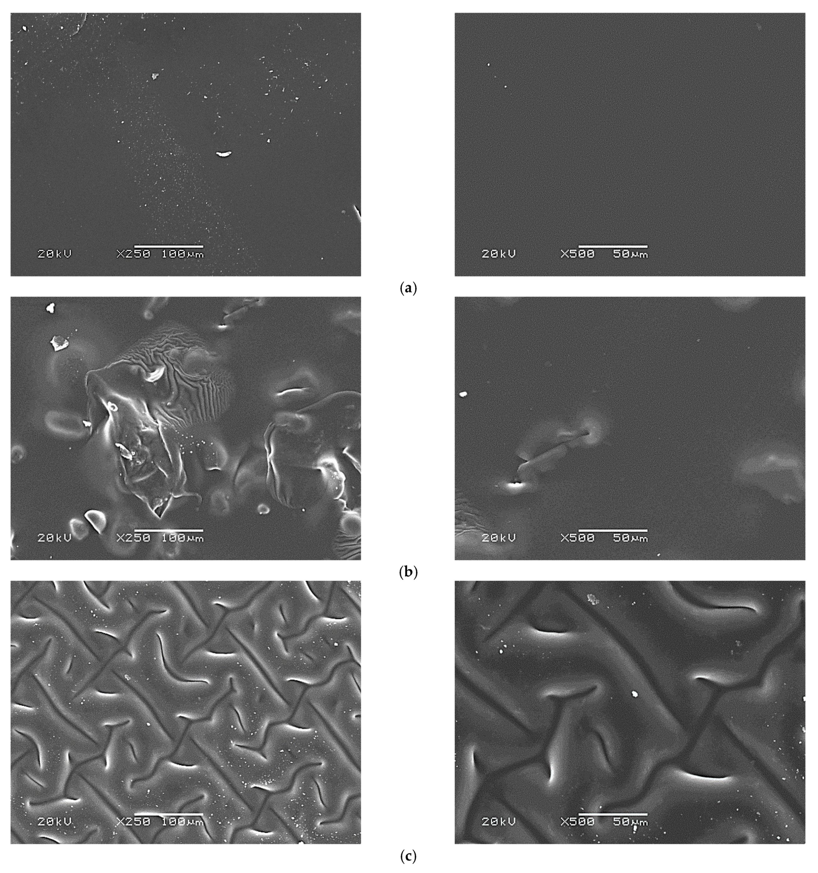 Materials 14 04443 g010 550